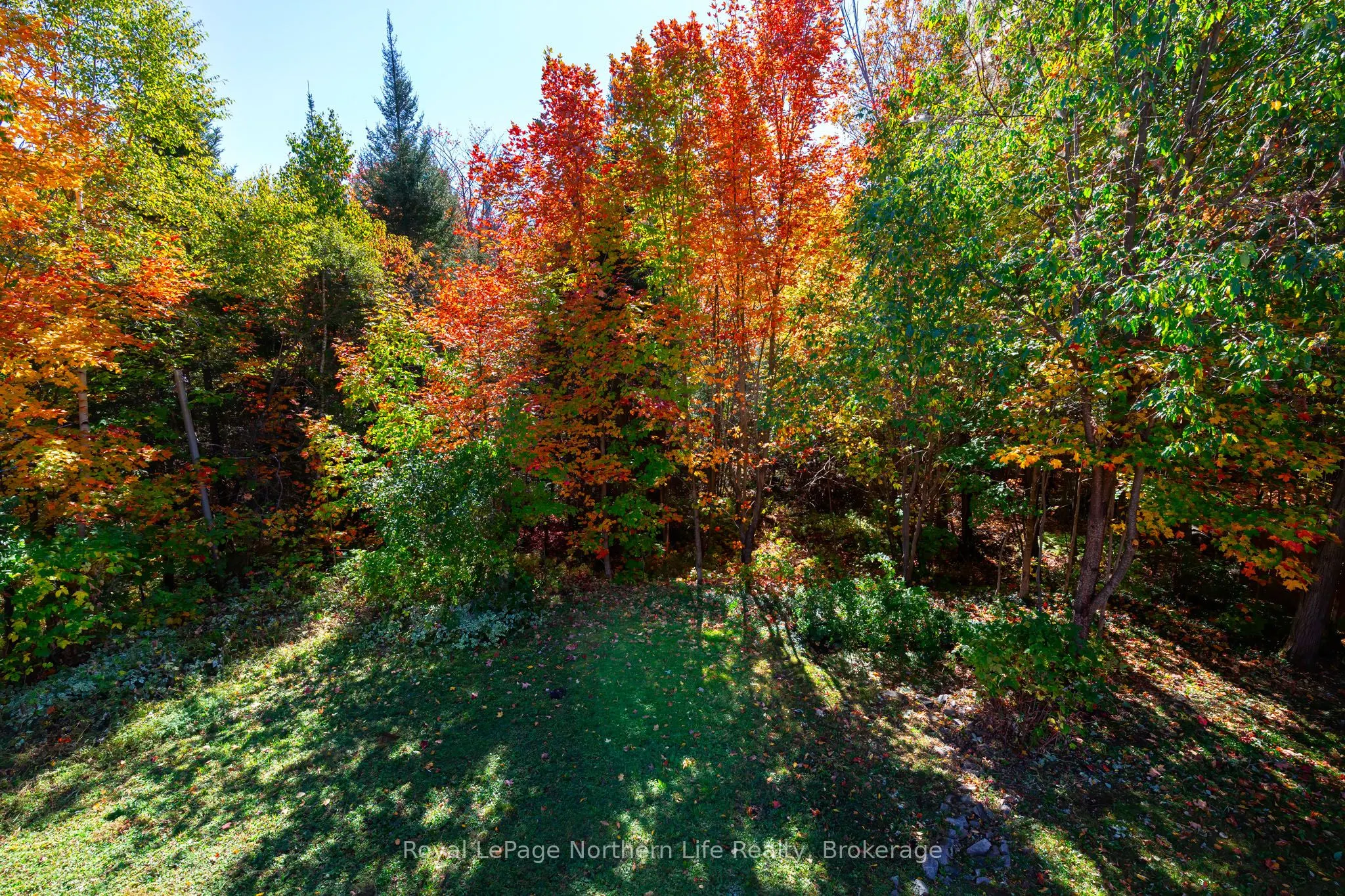 389 Carmichael Drive