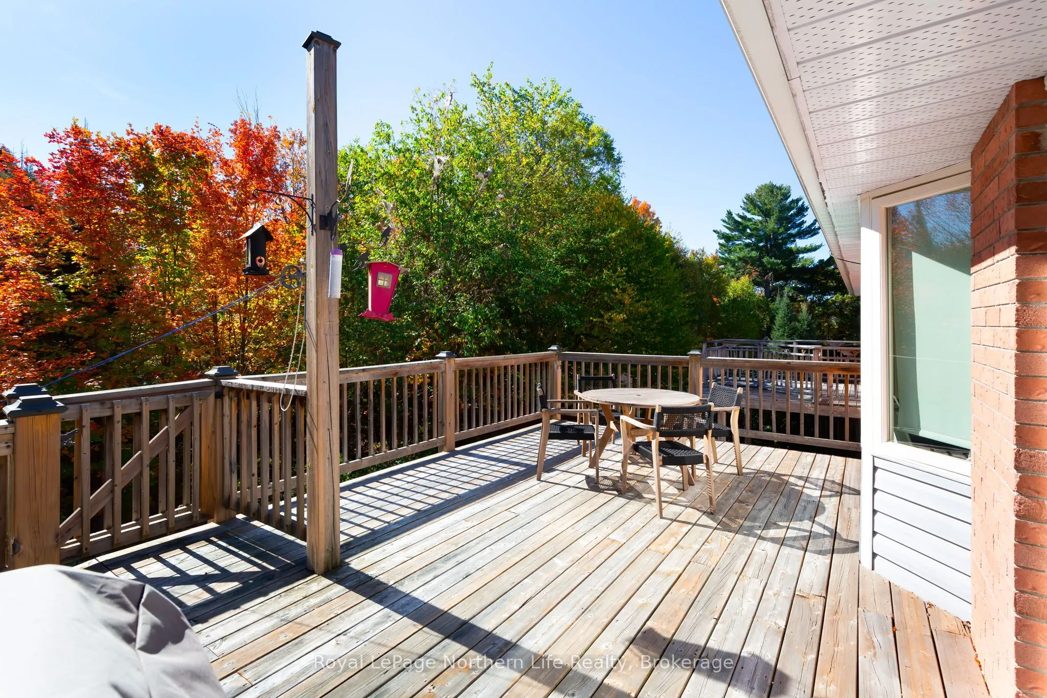389 Carmichael Drive