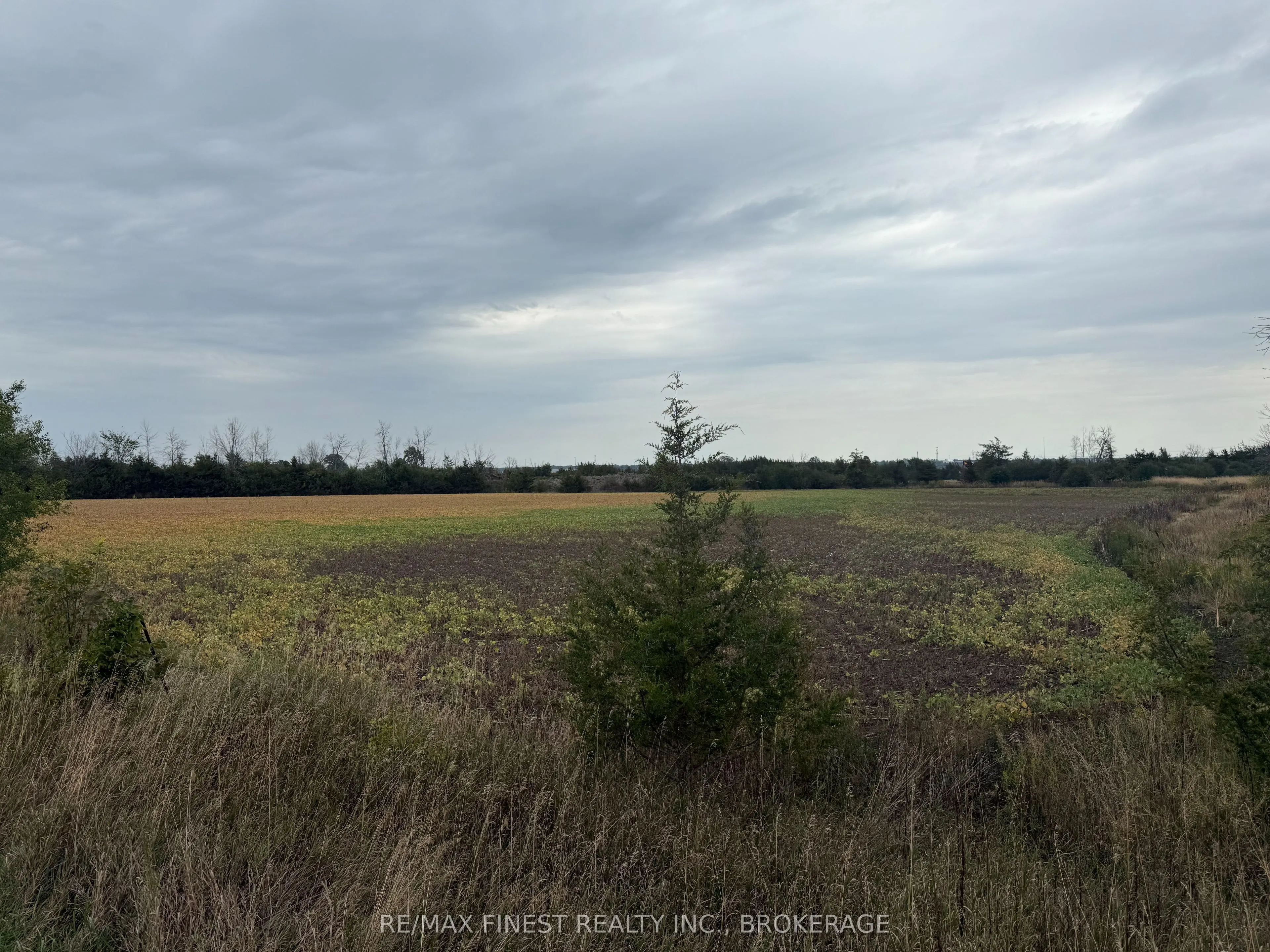 208A Drive In Road