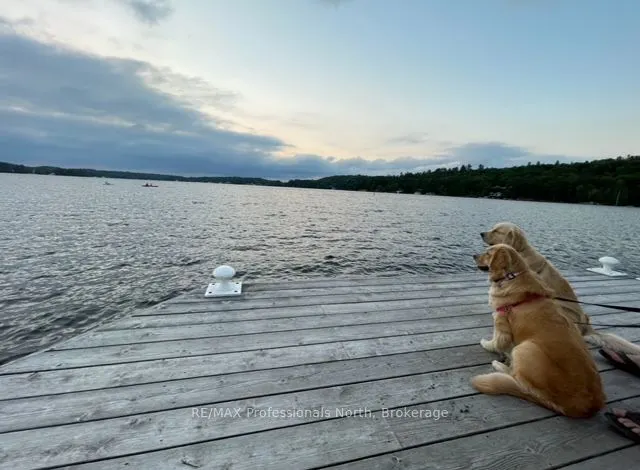 3876 MUSKOKA ROAD 118 WEST, #Carling 4, W10