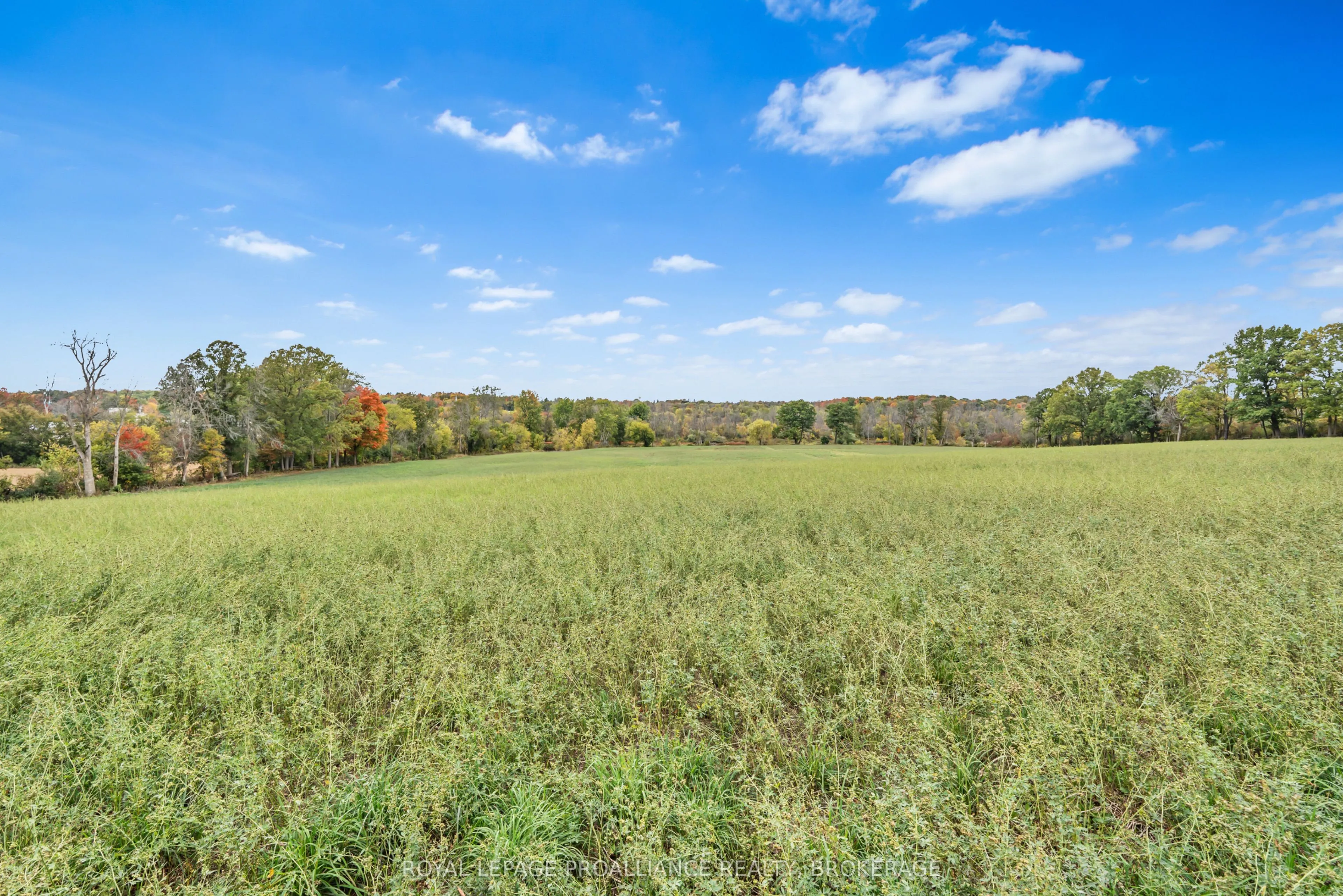 1551 County Road 1 E