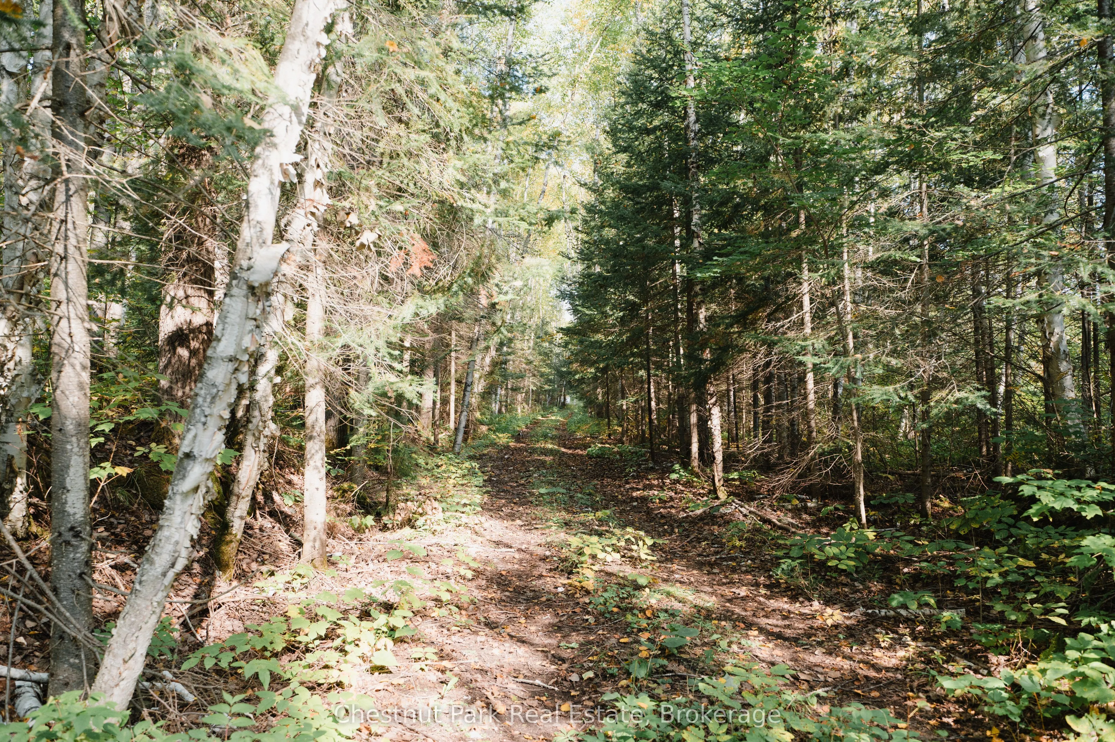 445 Fox Run