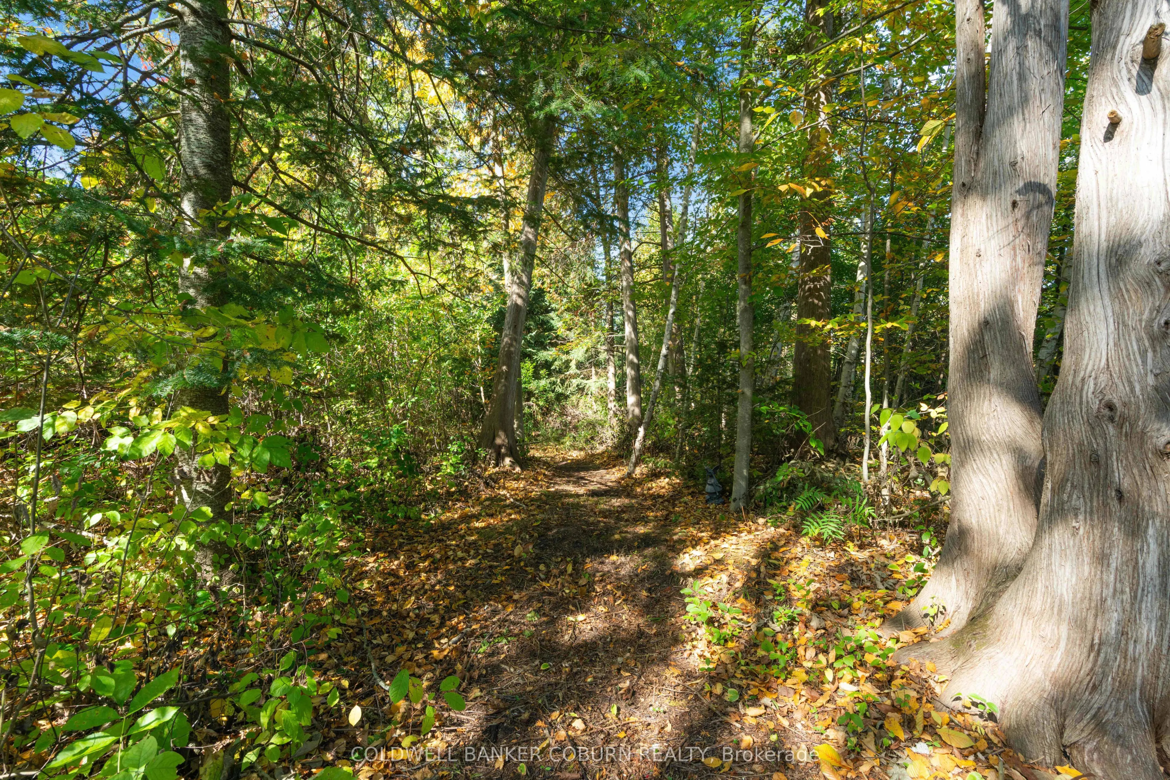 2 Sugar Maple Way