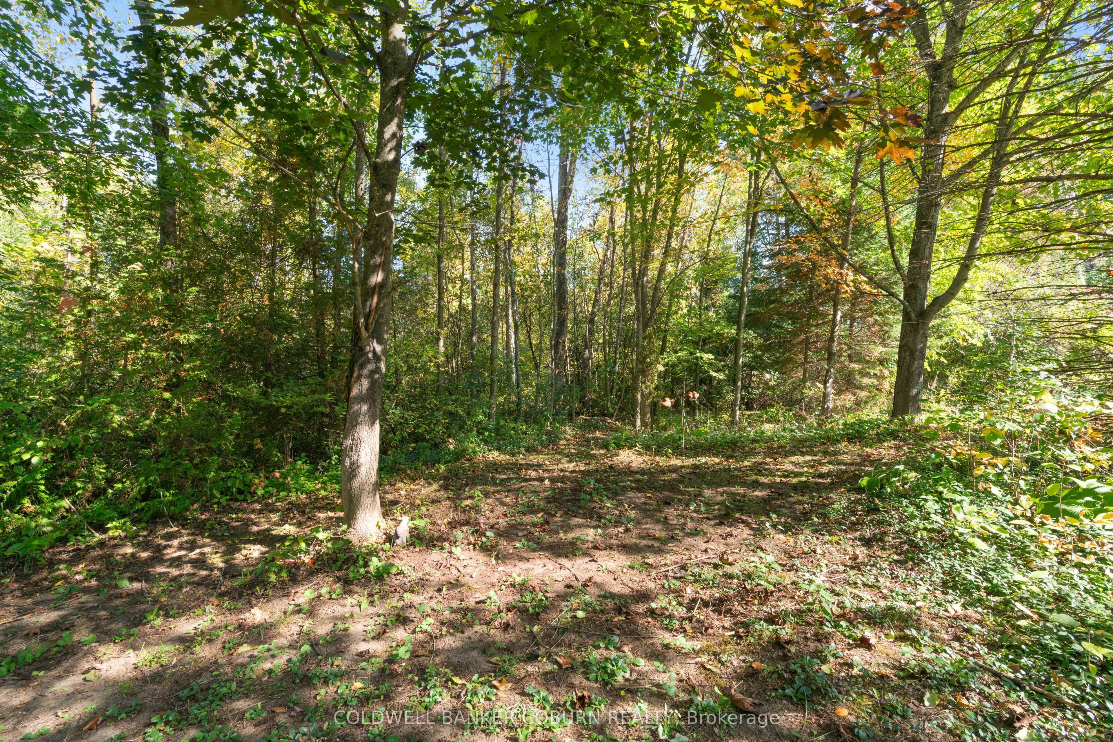 2 Sugar Maple Way