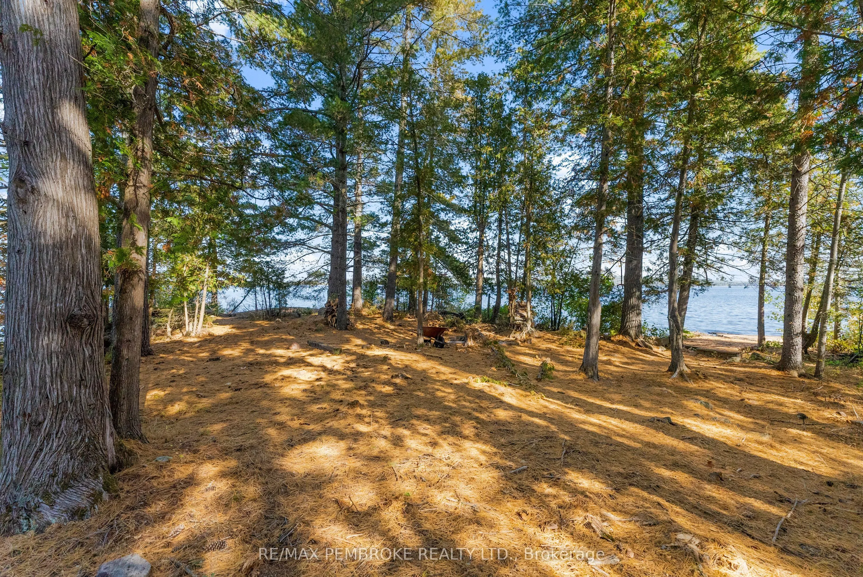 204B Hawkins Drive