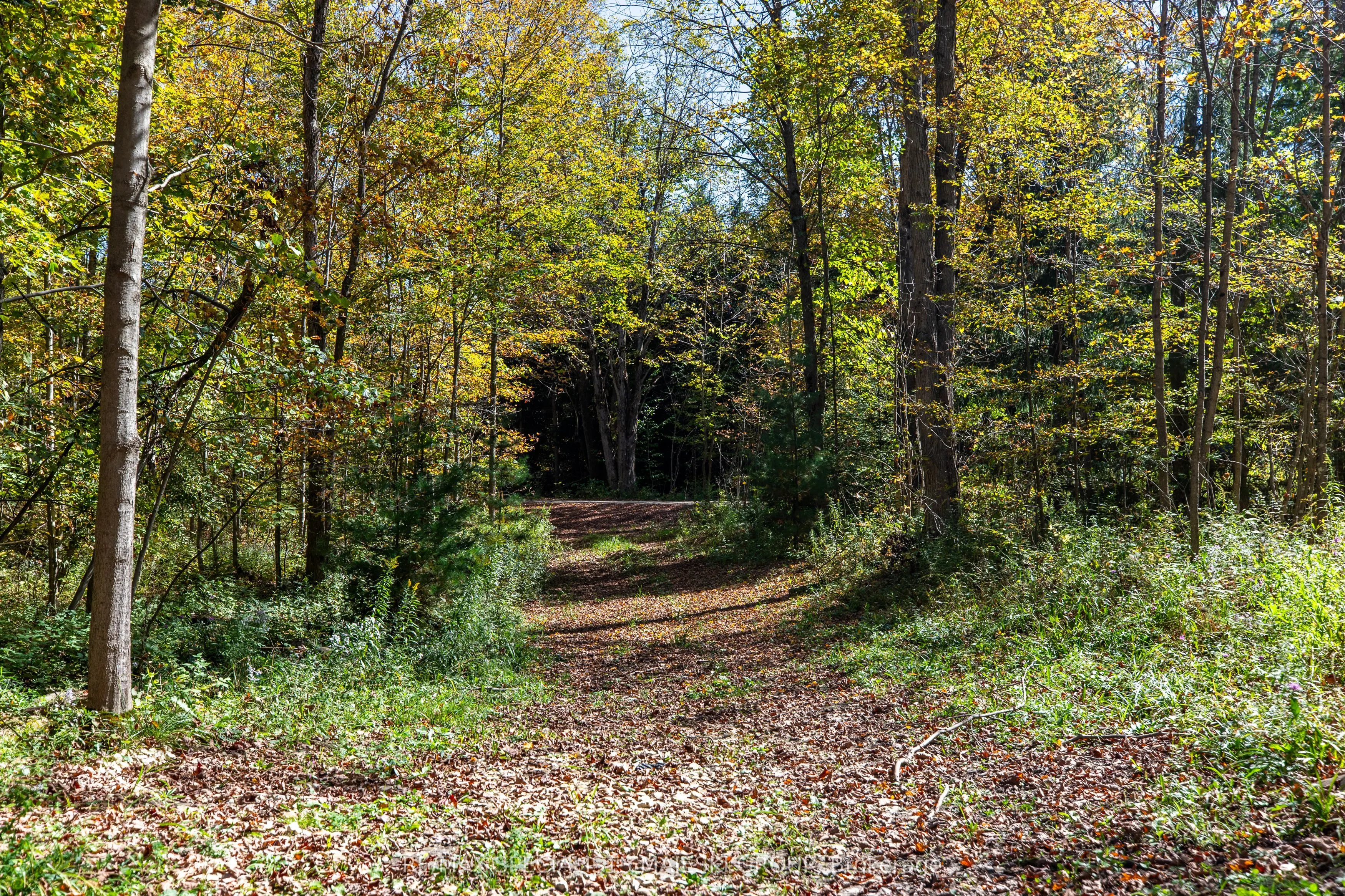Lot 3 Concession 8