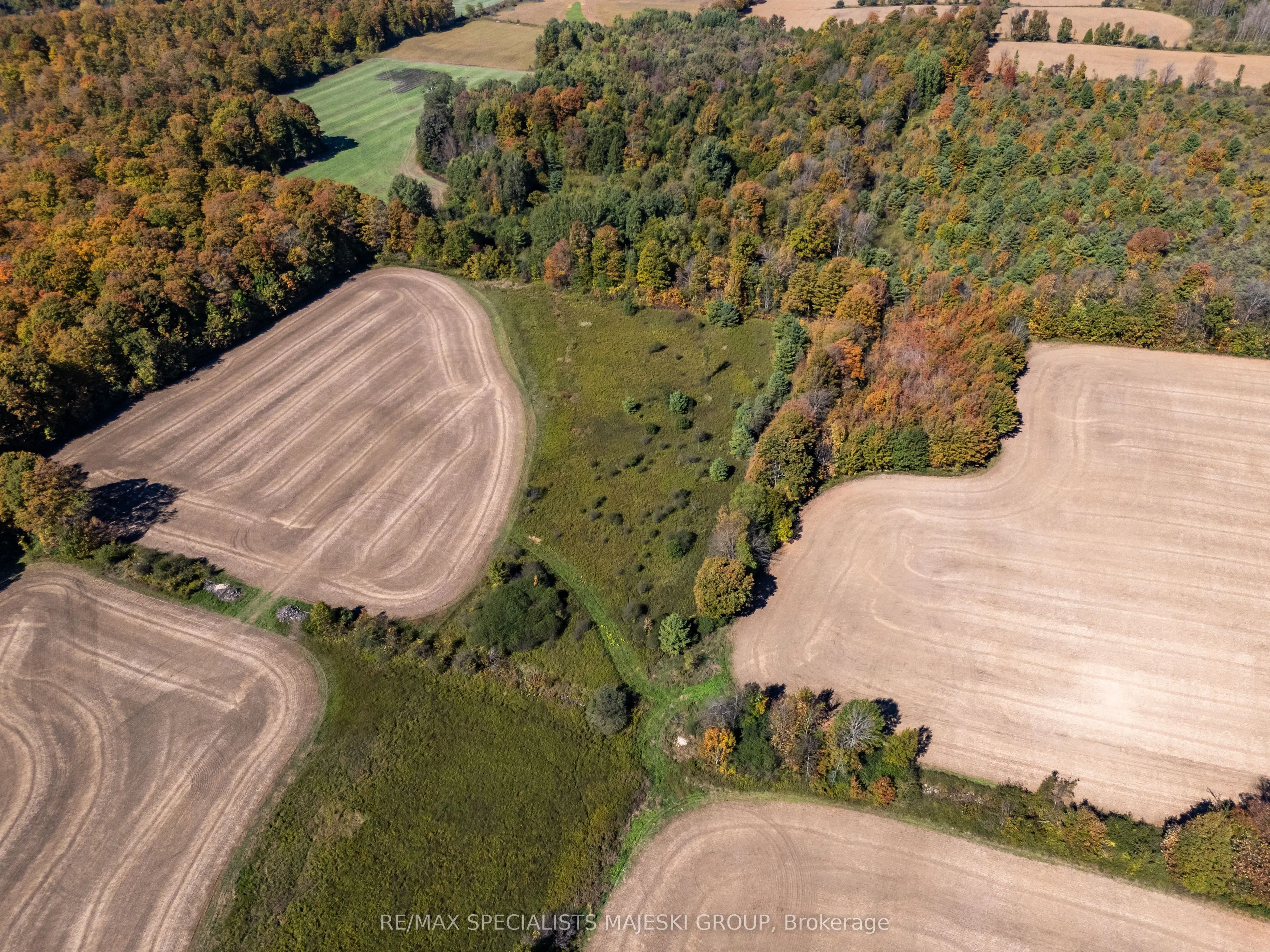 Lot 3 Concession 8