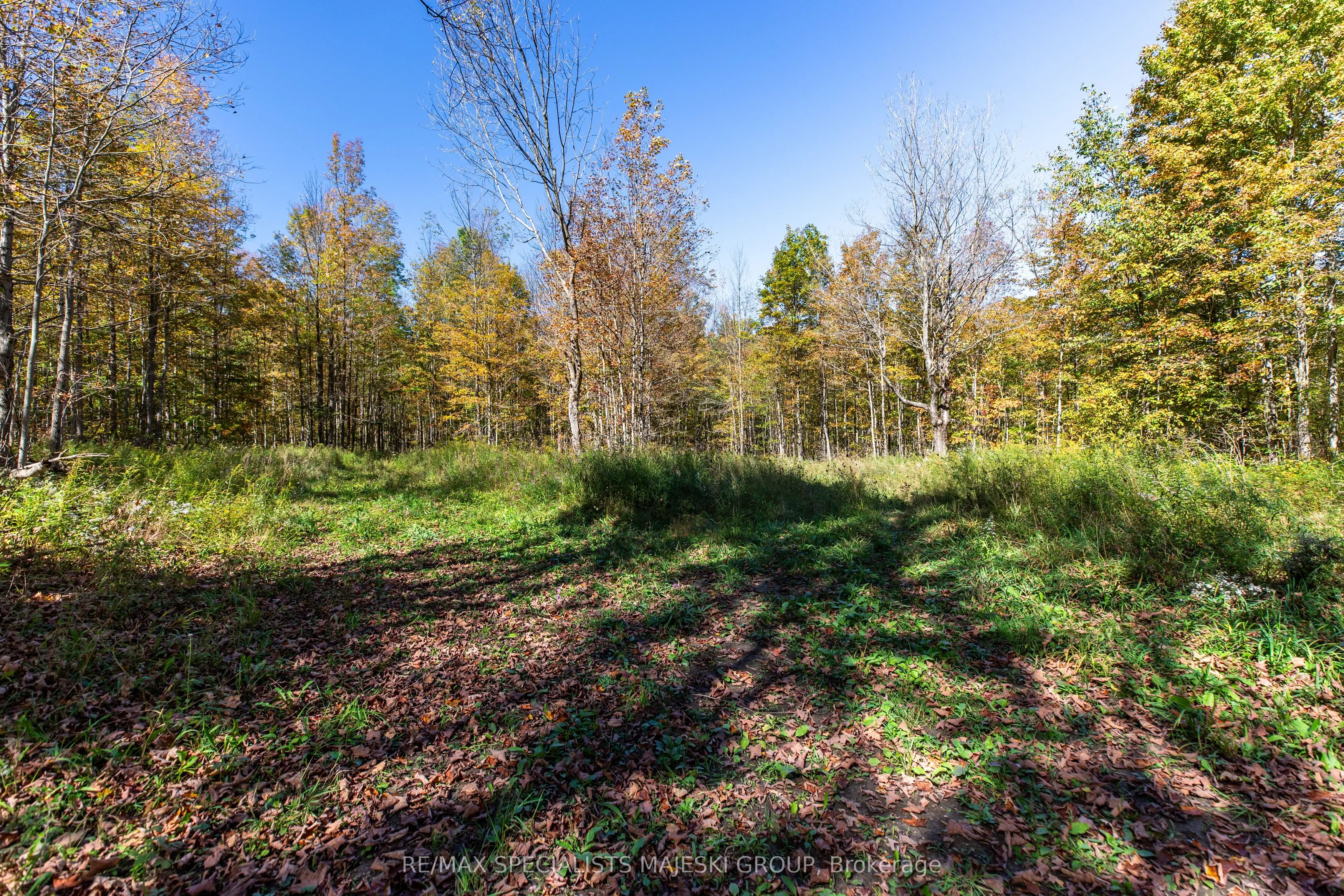Lot 3 Concession 8