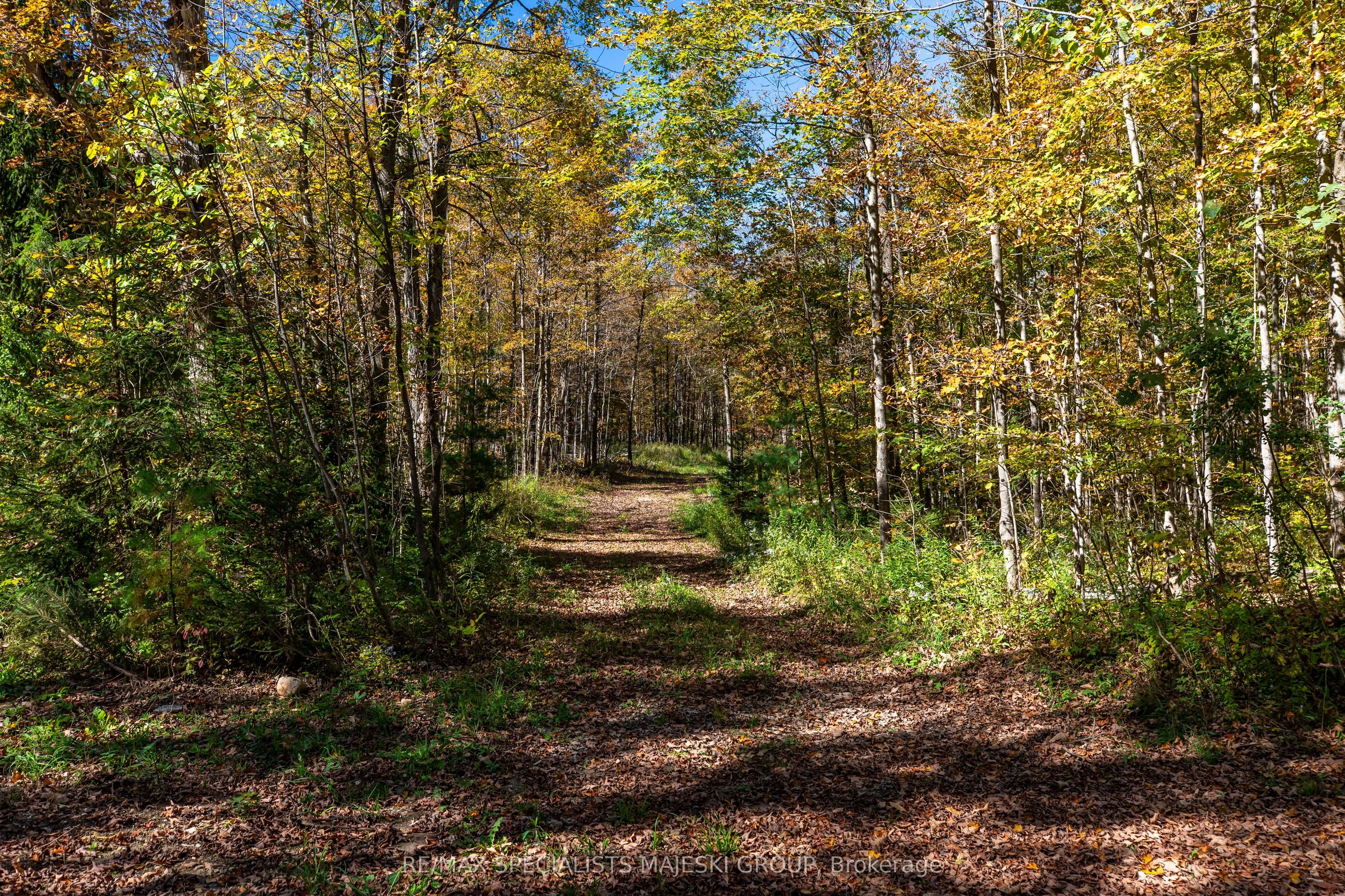 Lot 3 Concession 8
