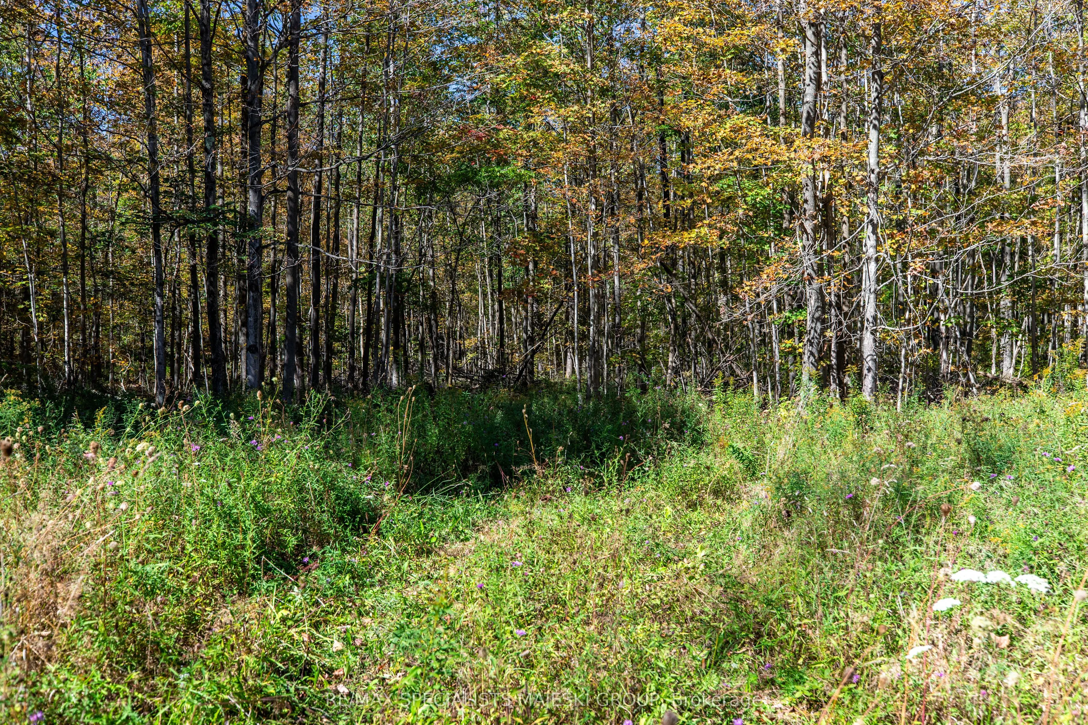 Lot 3 Concession 8