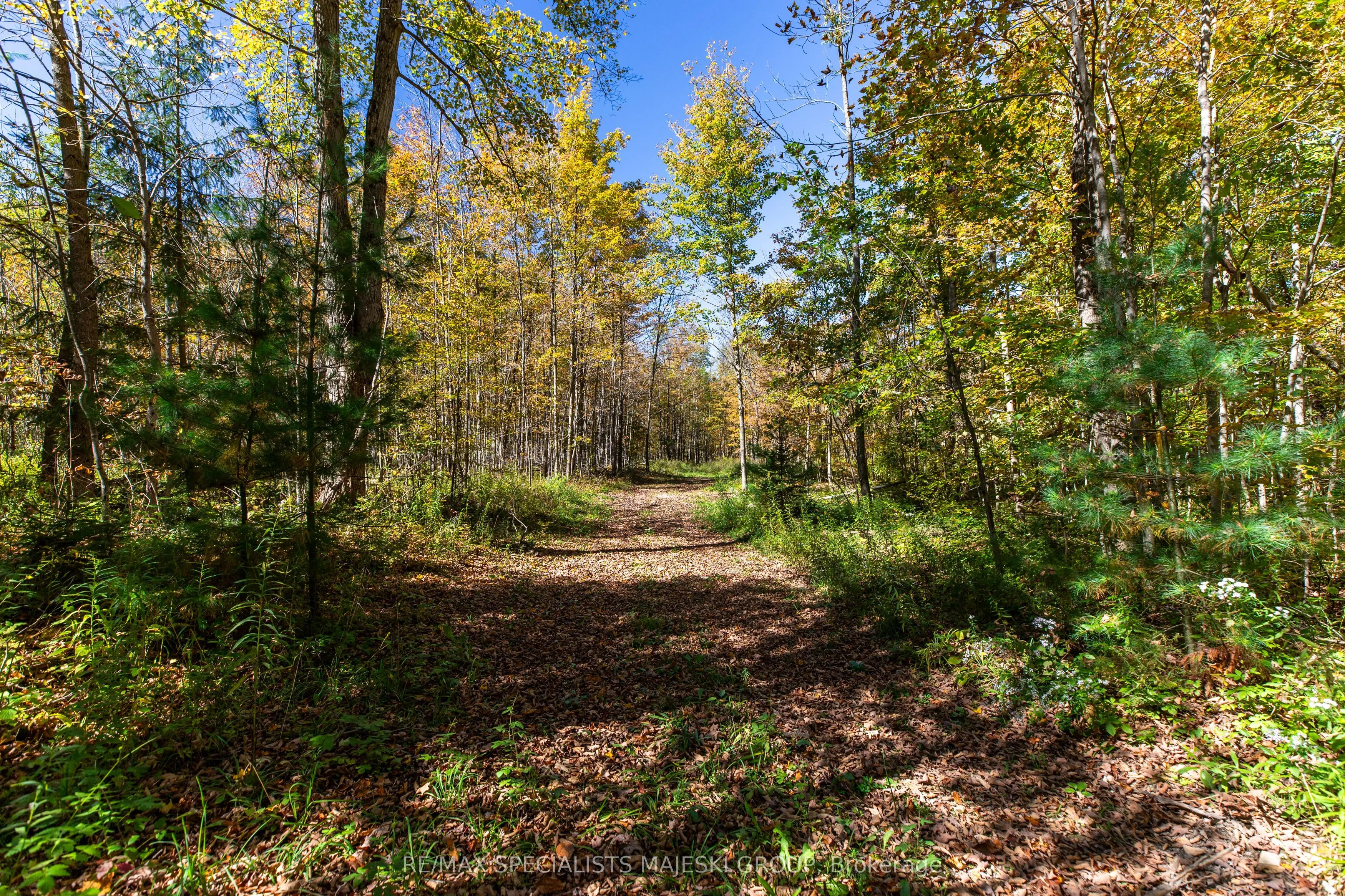 Lot 3 Concession 8
