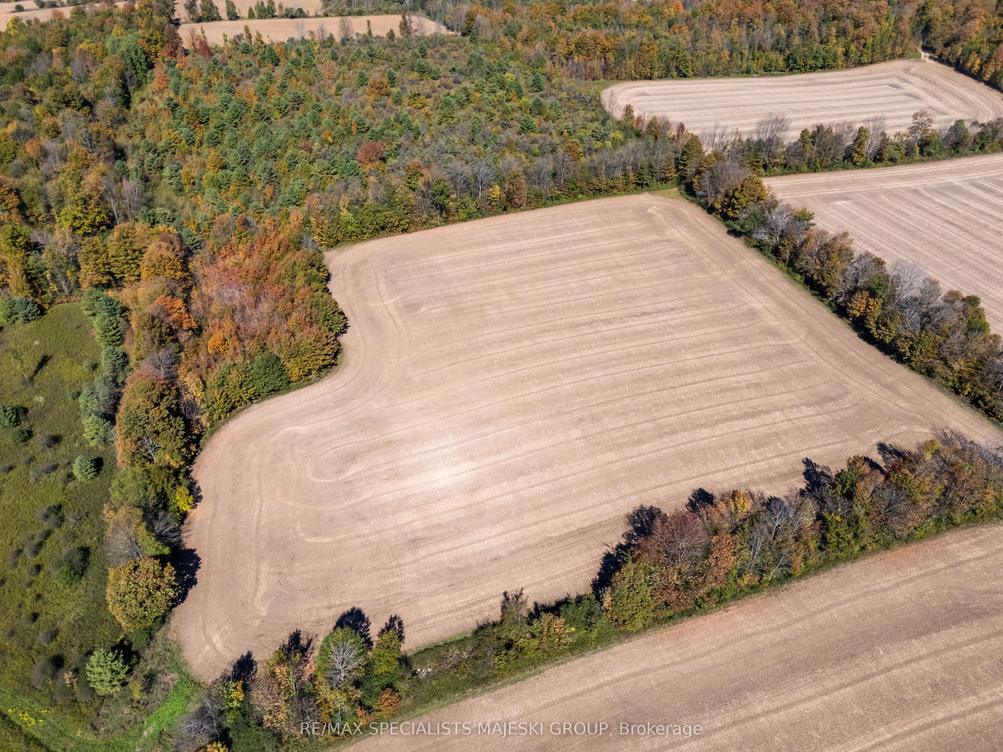 Lot 3 Concession 8