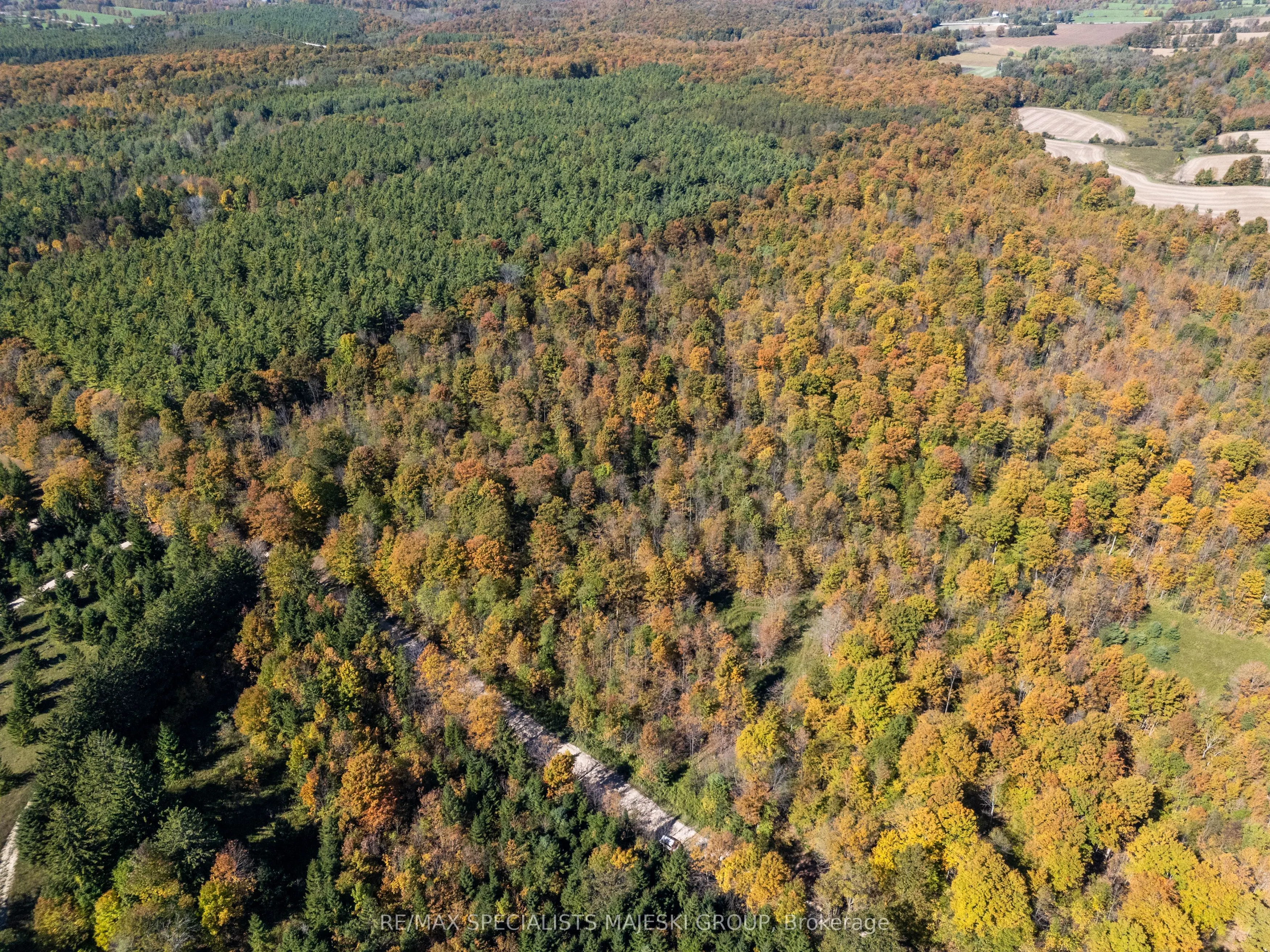 Lot 3 Concession 8