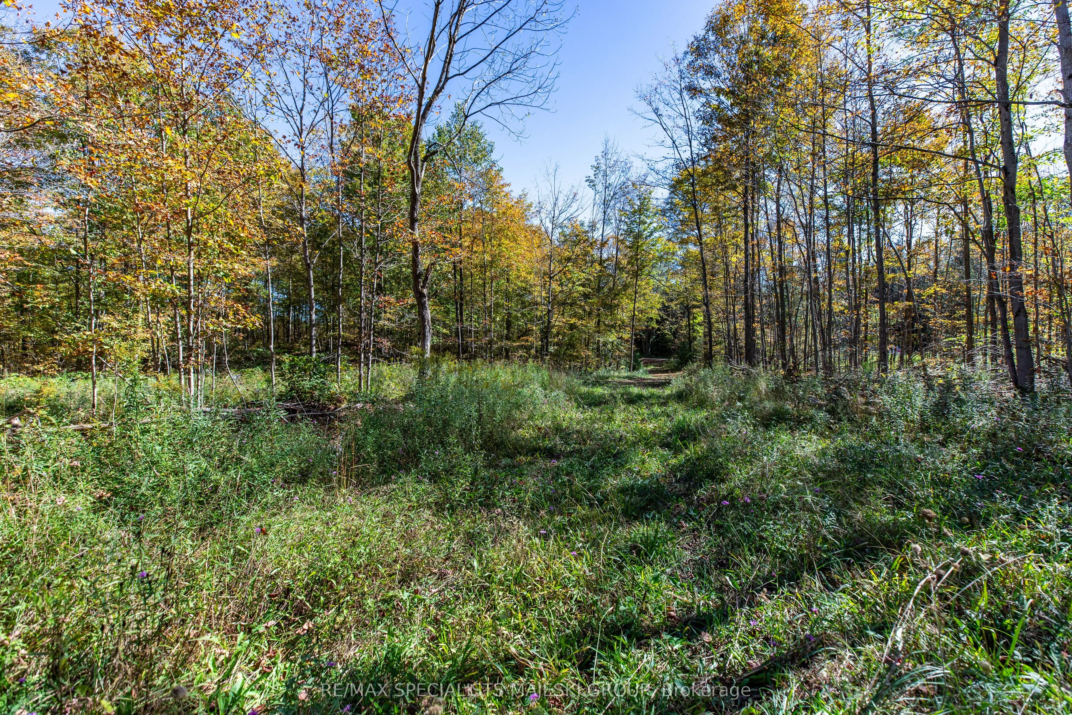 Lot 3 Concession 8