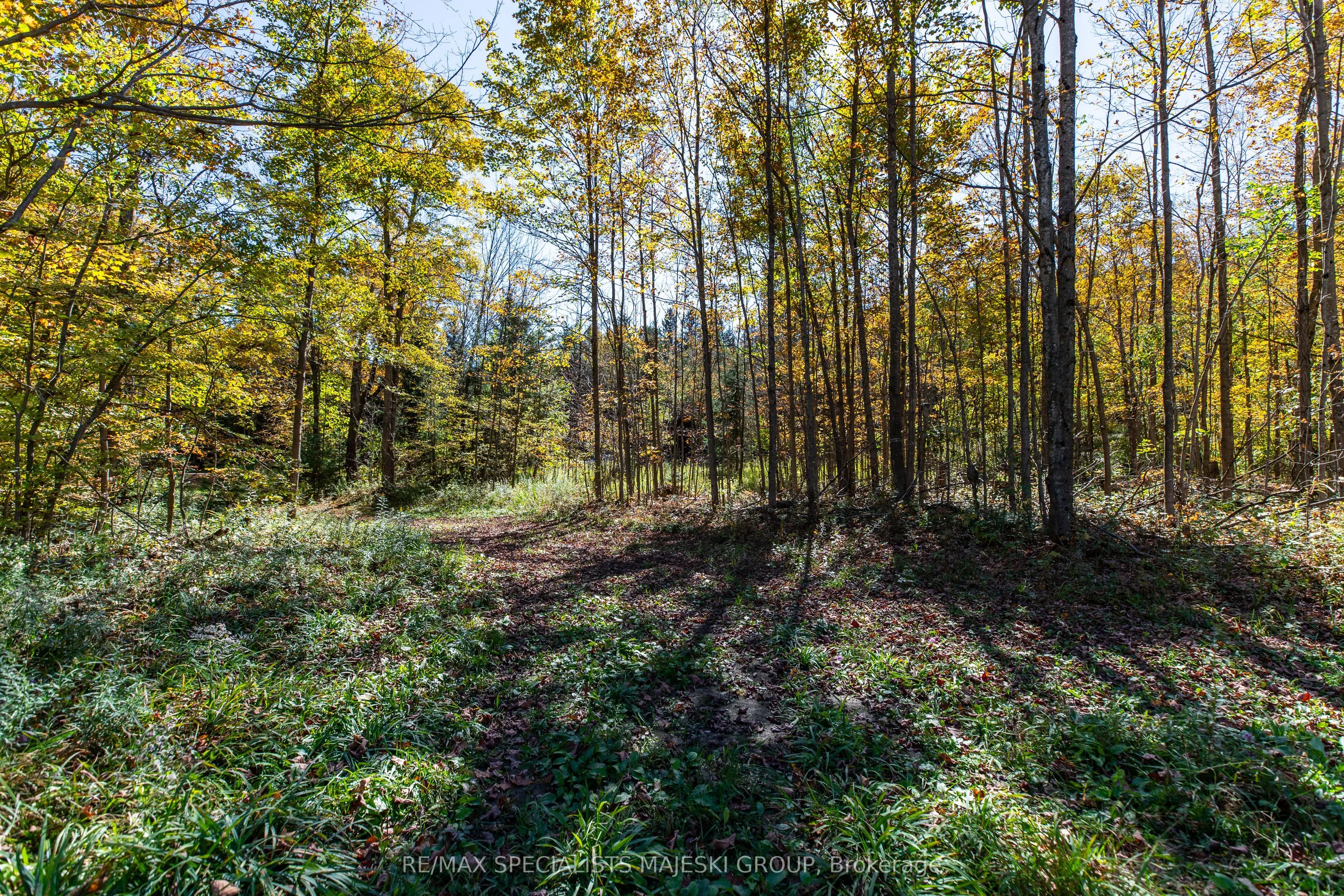 Lot 3 Concession 8
