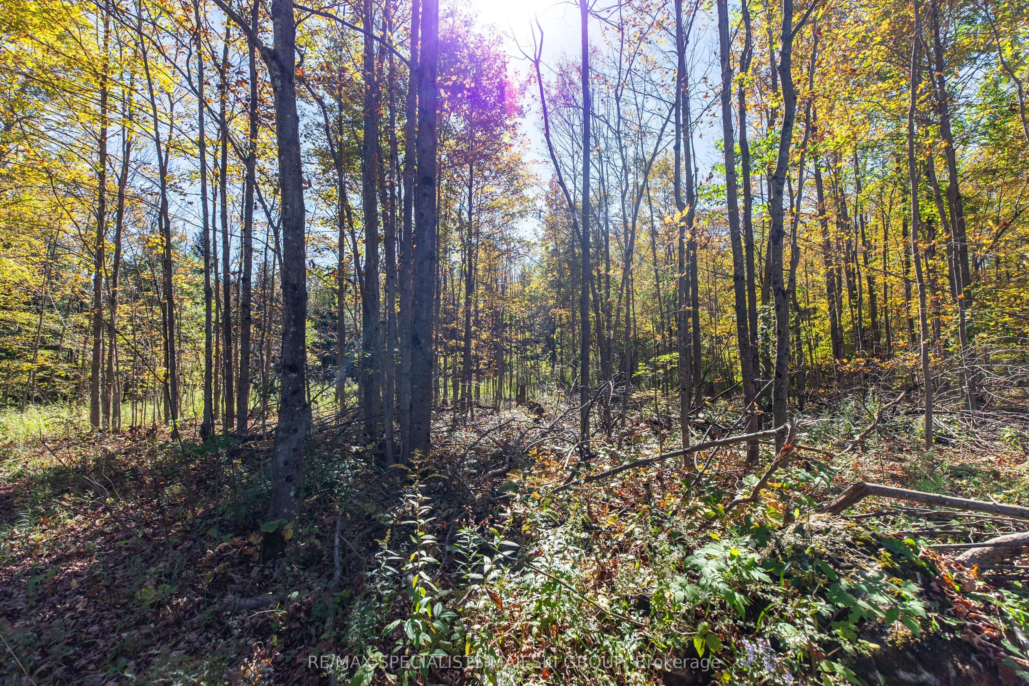 Lot 3 Concession 8
