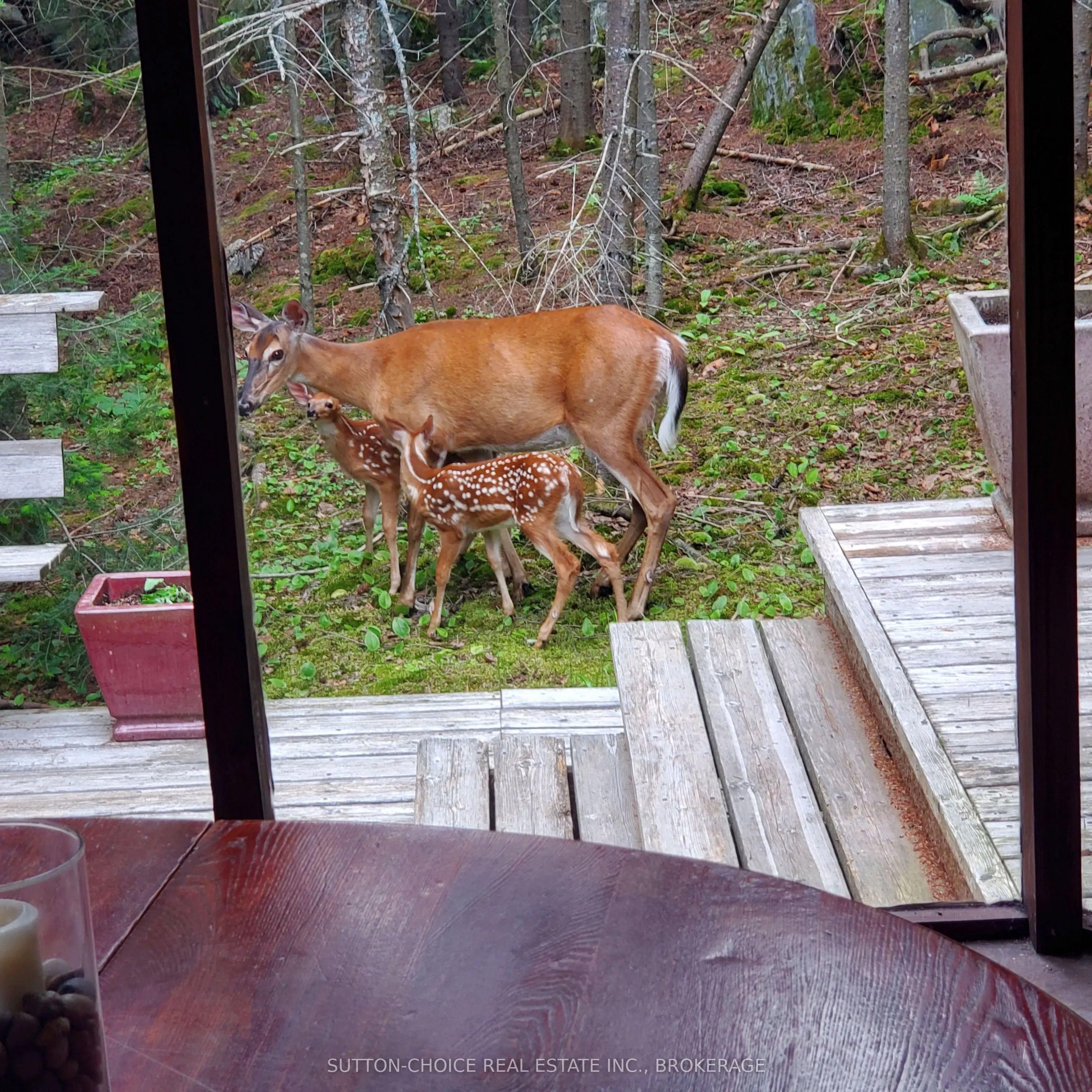 104 Hemlock Island