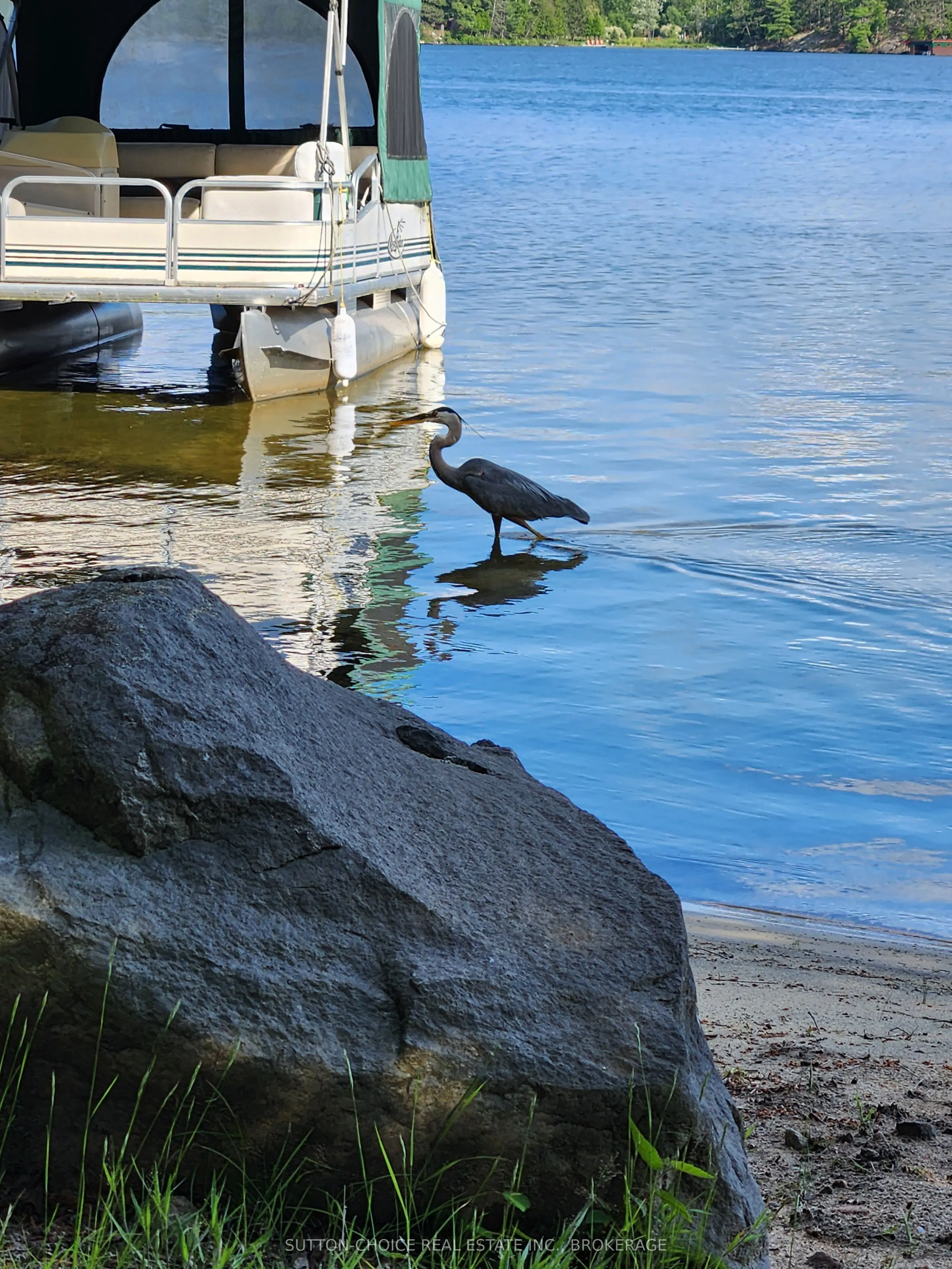 104 Hemlock Island