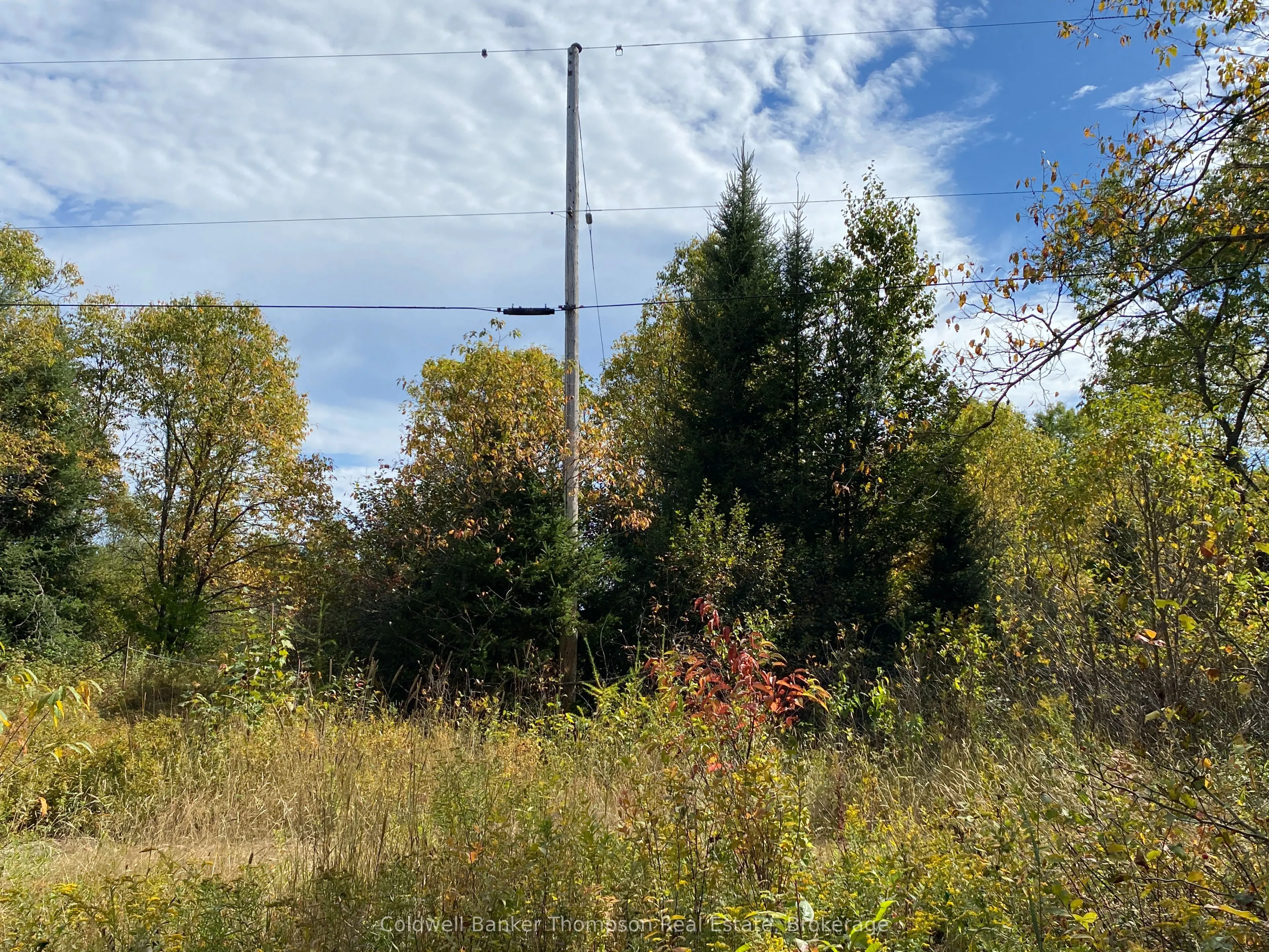 0 Municipal Road N