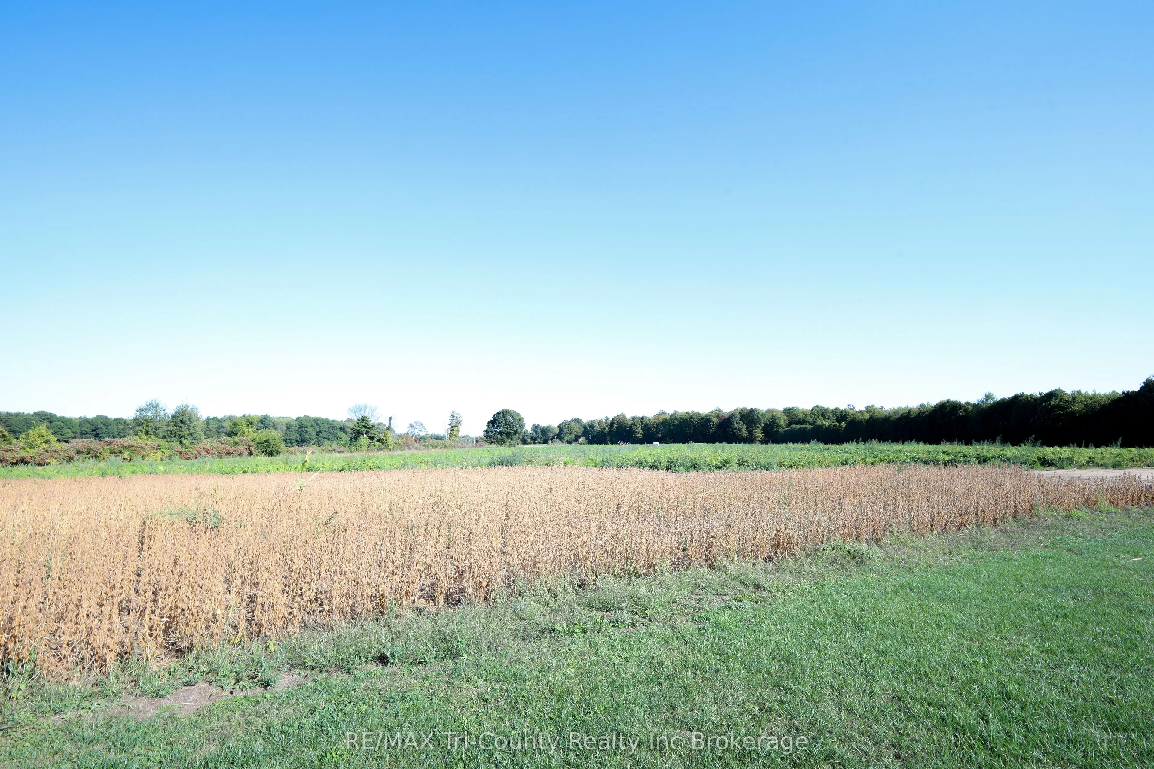 1225 1st Concession ENR Road