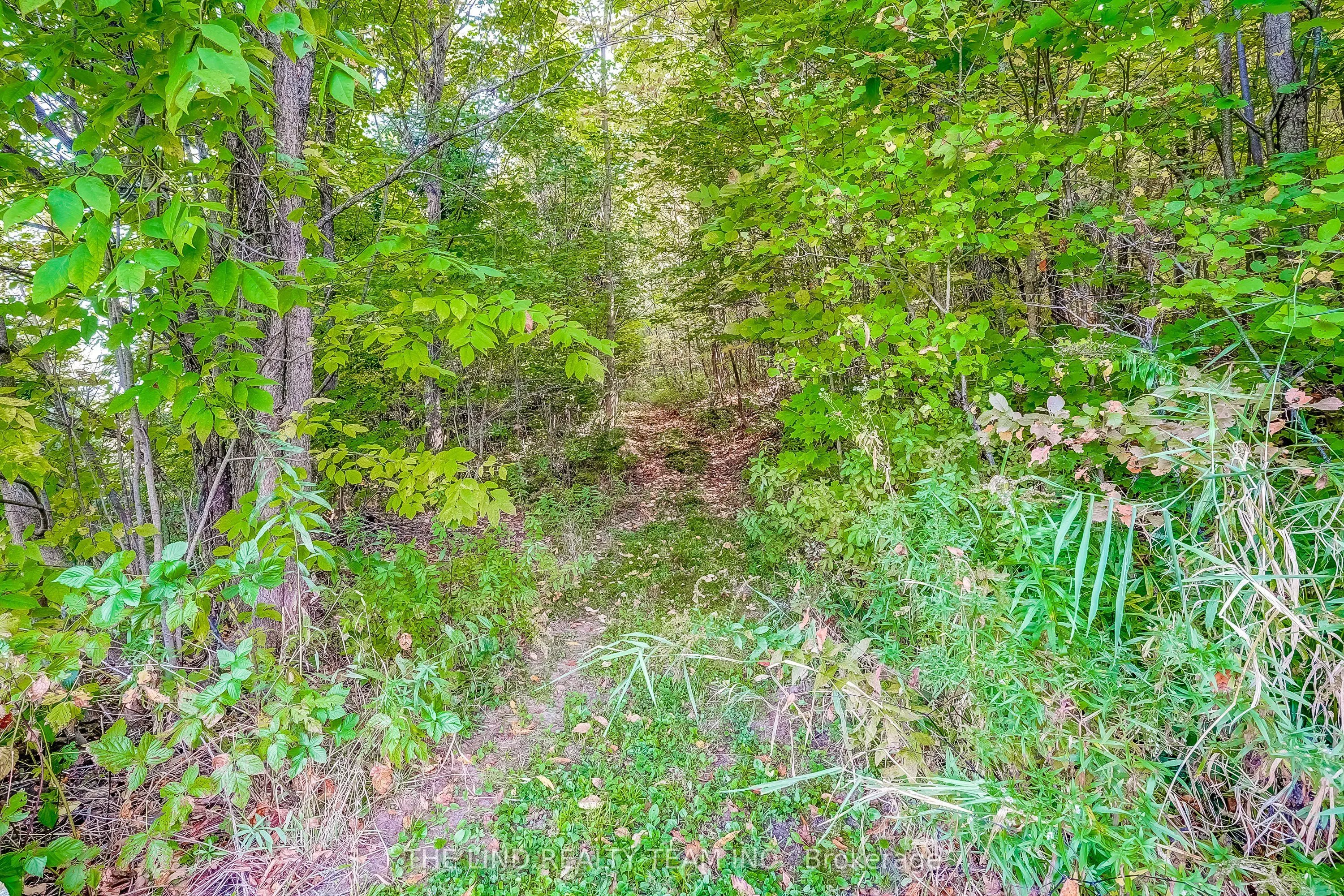949 Raymond Road
