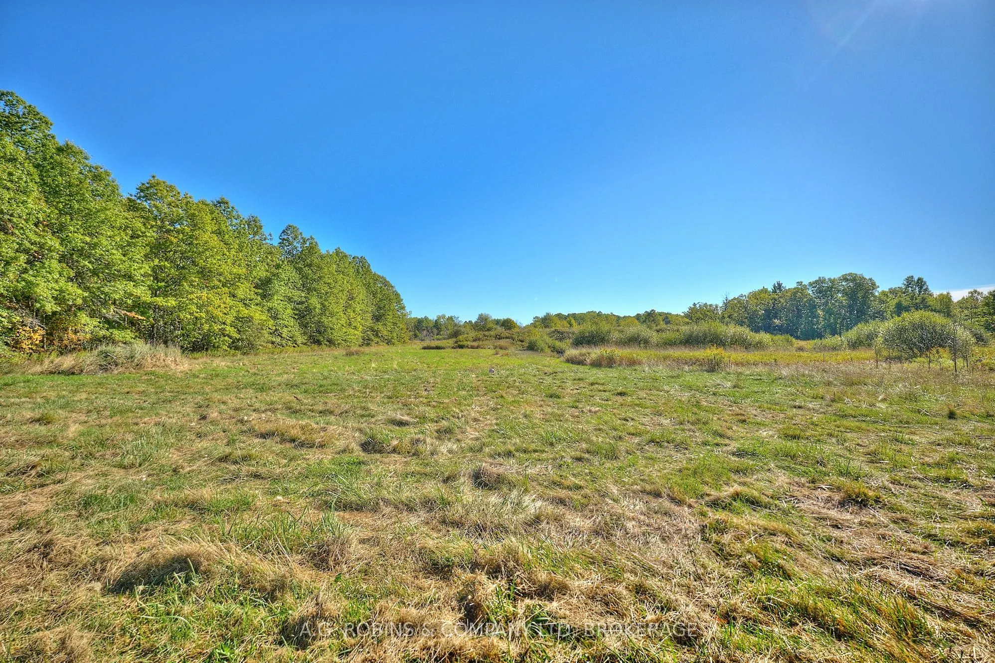14440 Mckenney Road