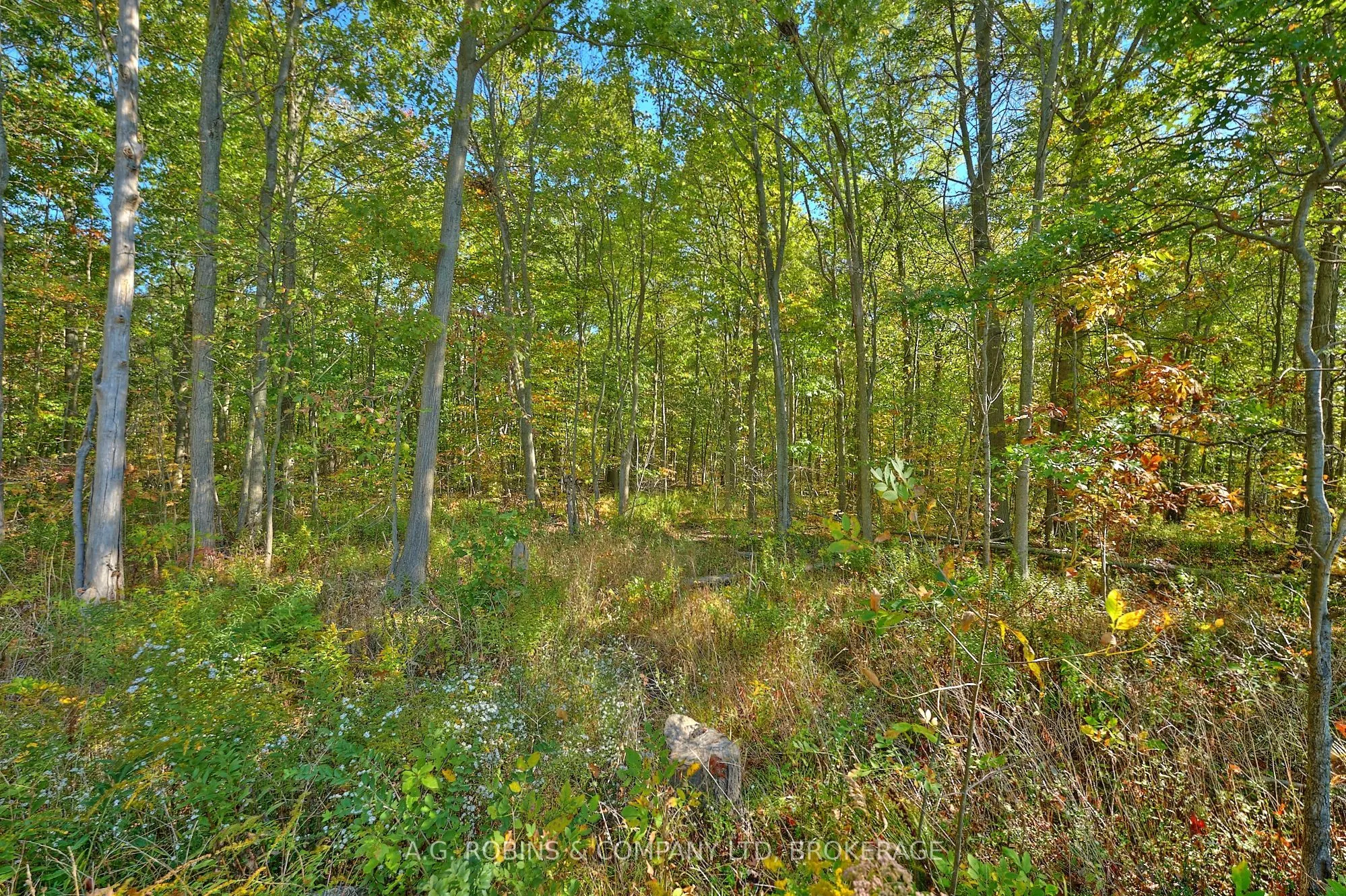 14440 Mckenney Road