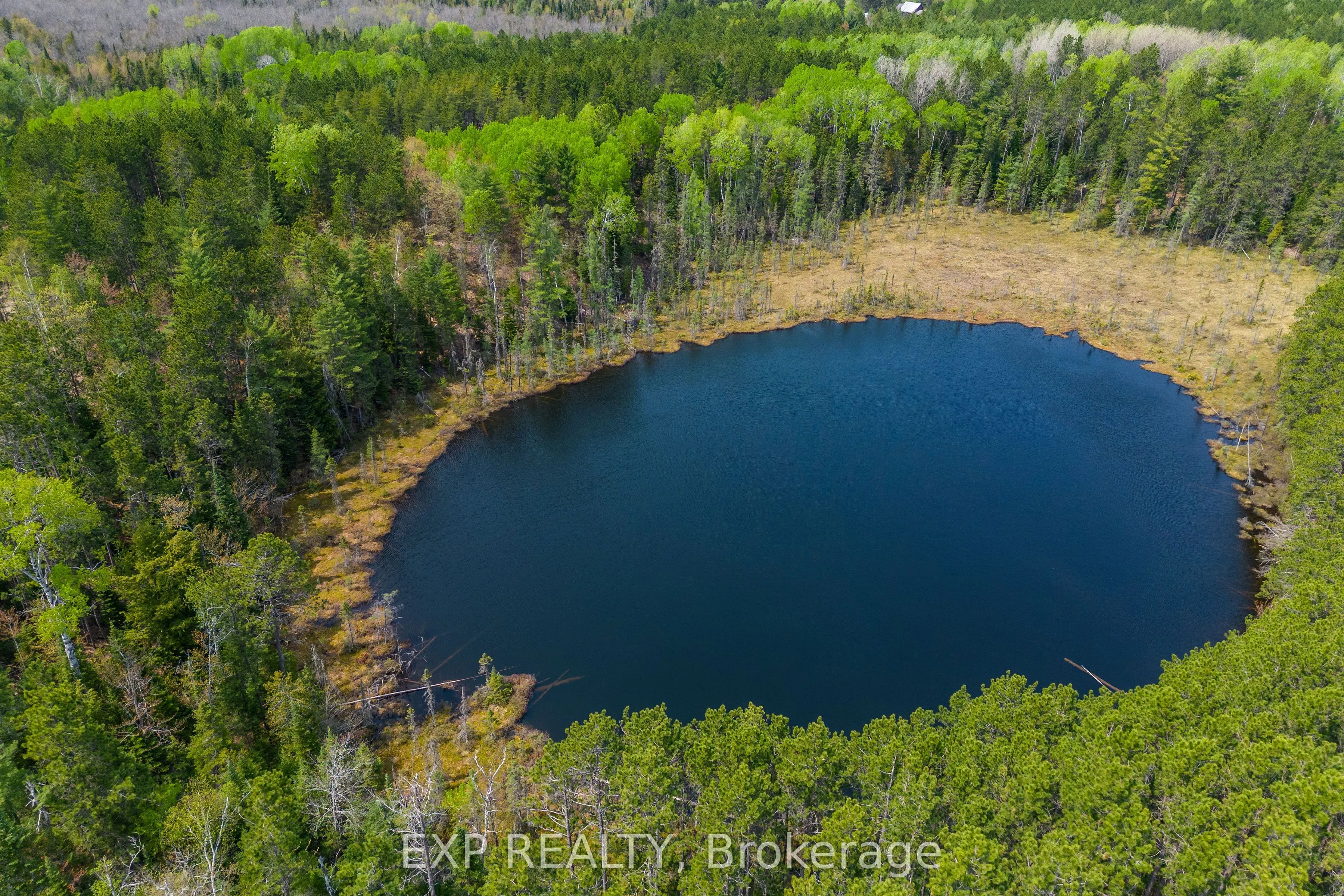 11462 Opeongo Road
