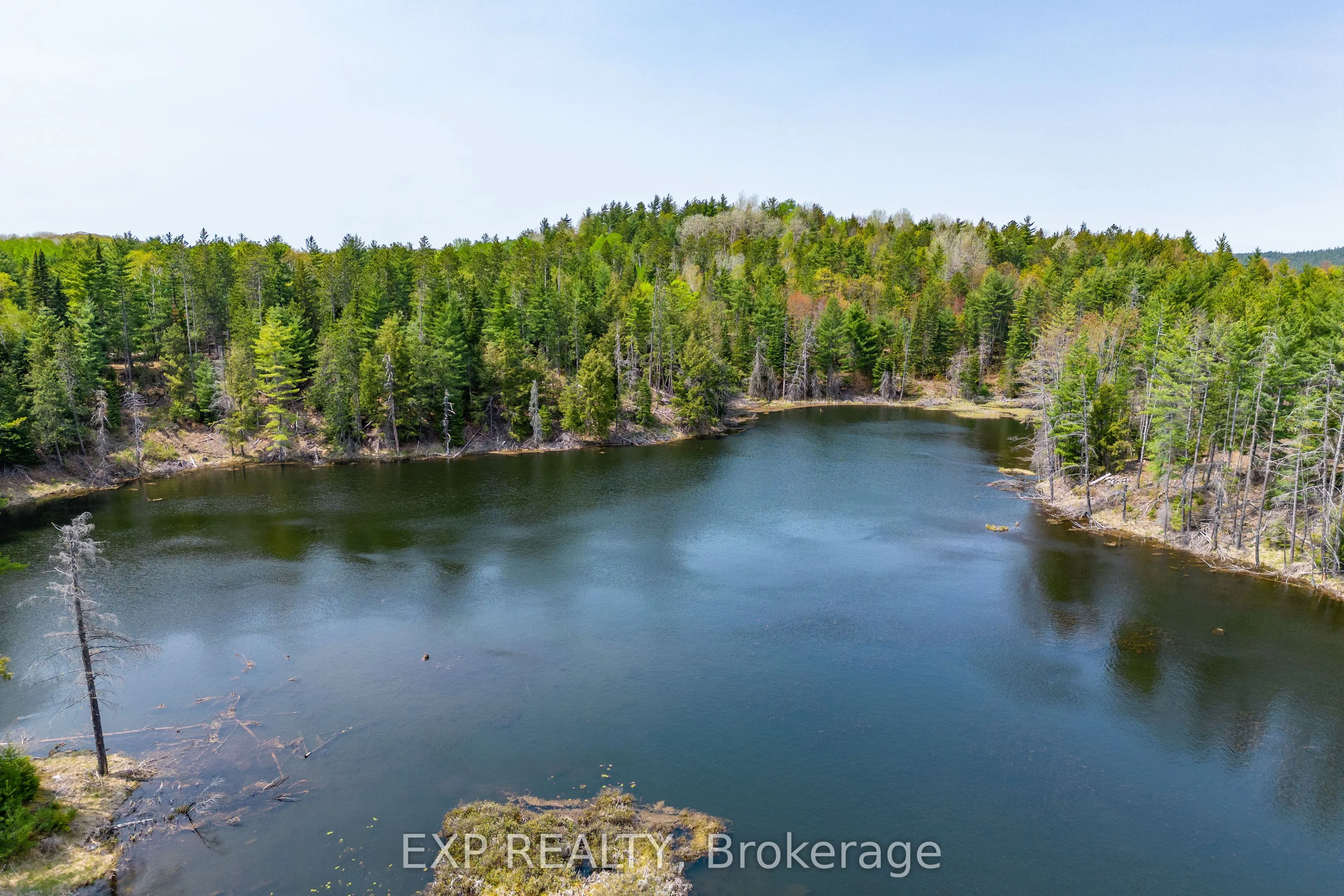 11462 Opeongo Road