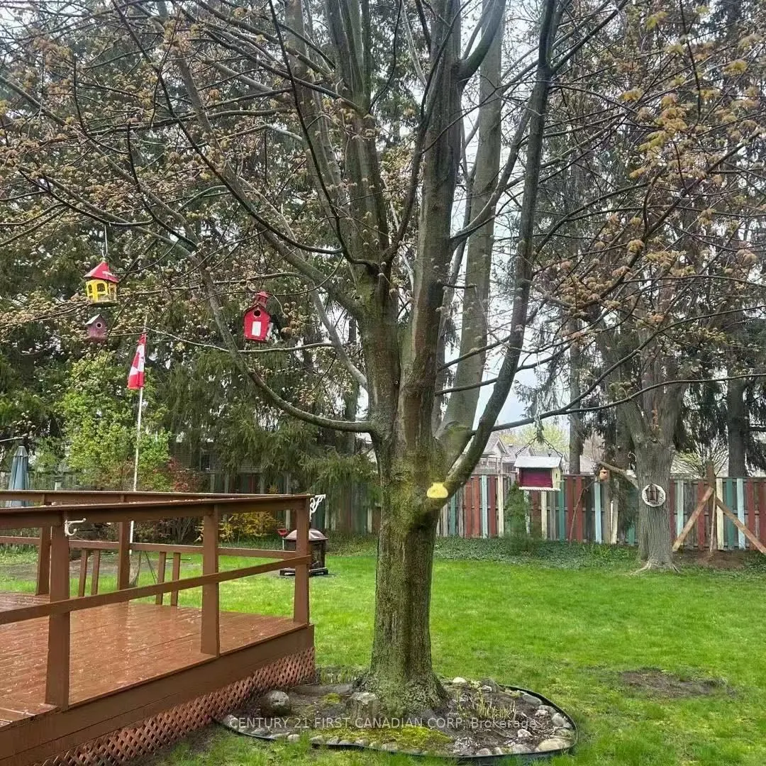 74 DALEVIEW Crescent