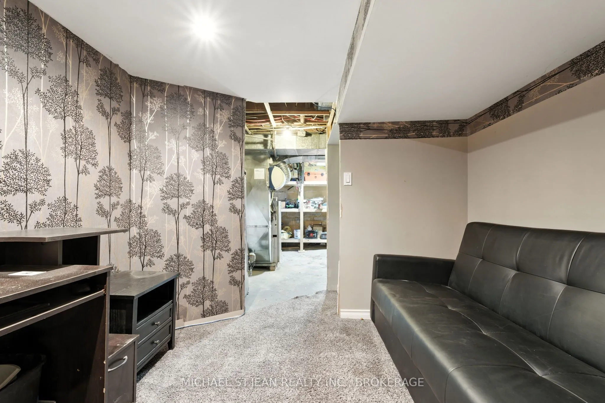 313 Graham Avenue S