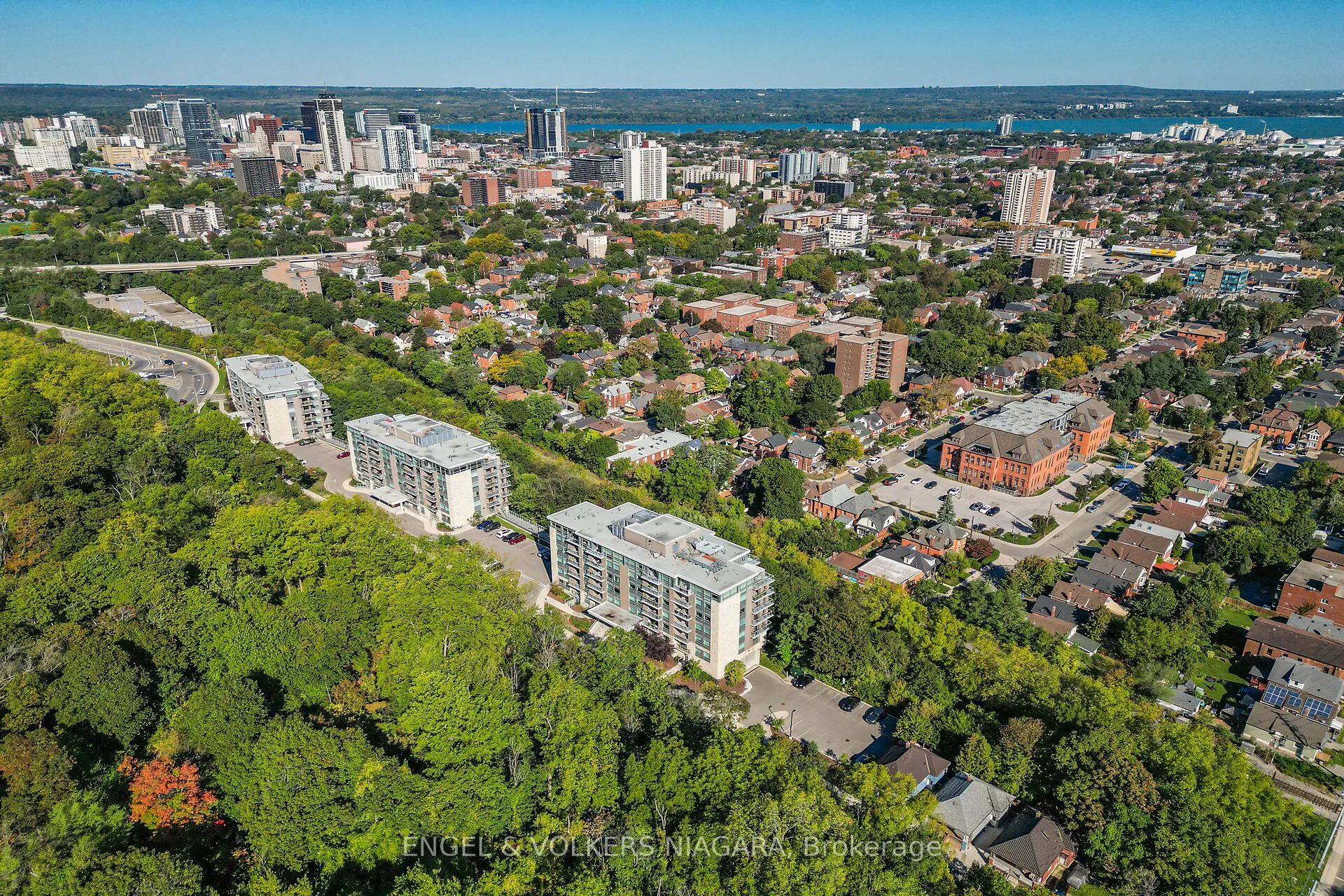 479 Charlton Avenue E, #106