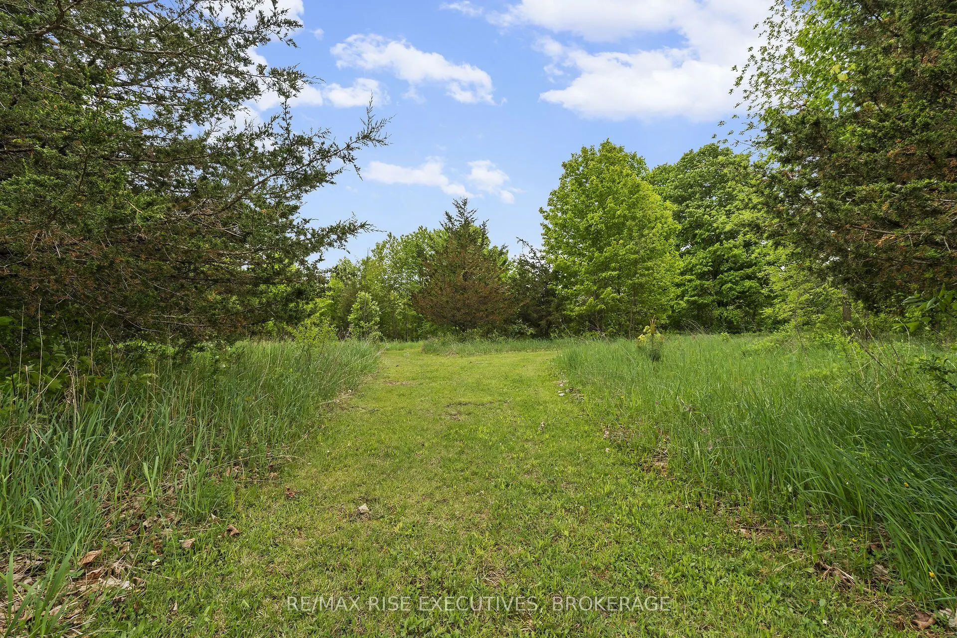 2329 HARLEM Road
