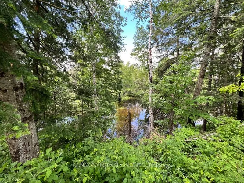76 York River Drive