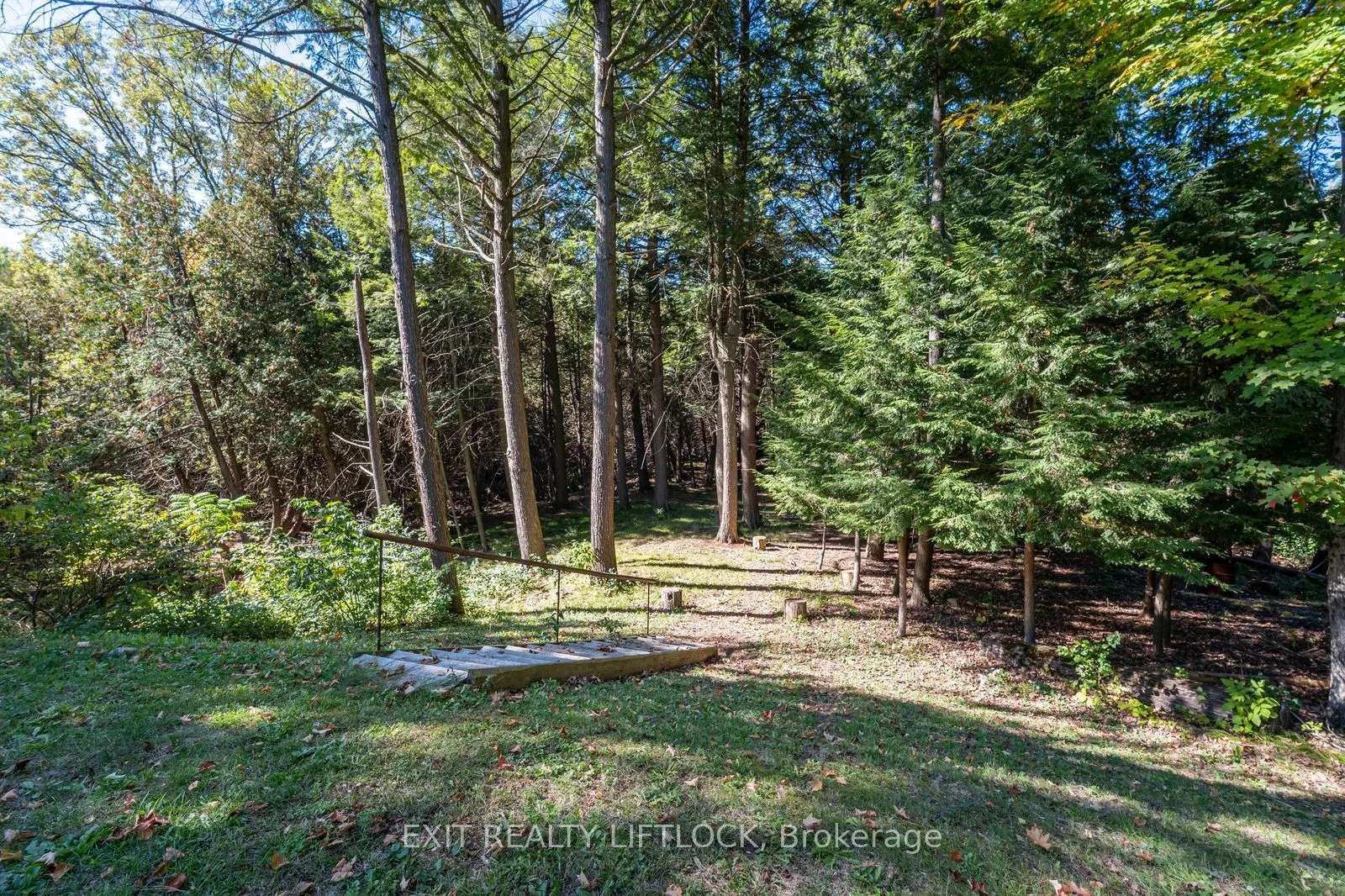 404 County Road 4