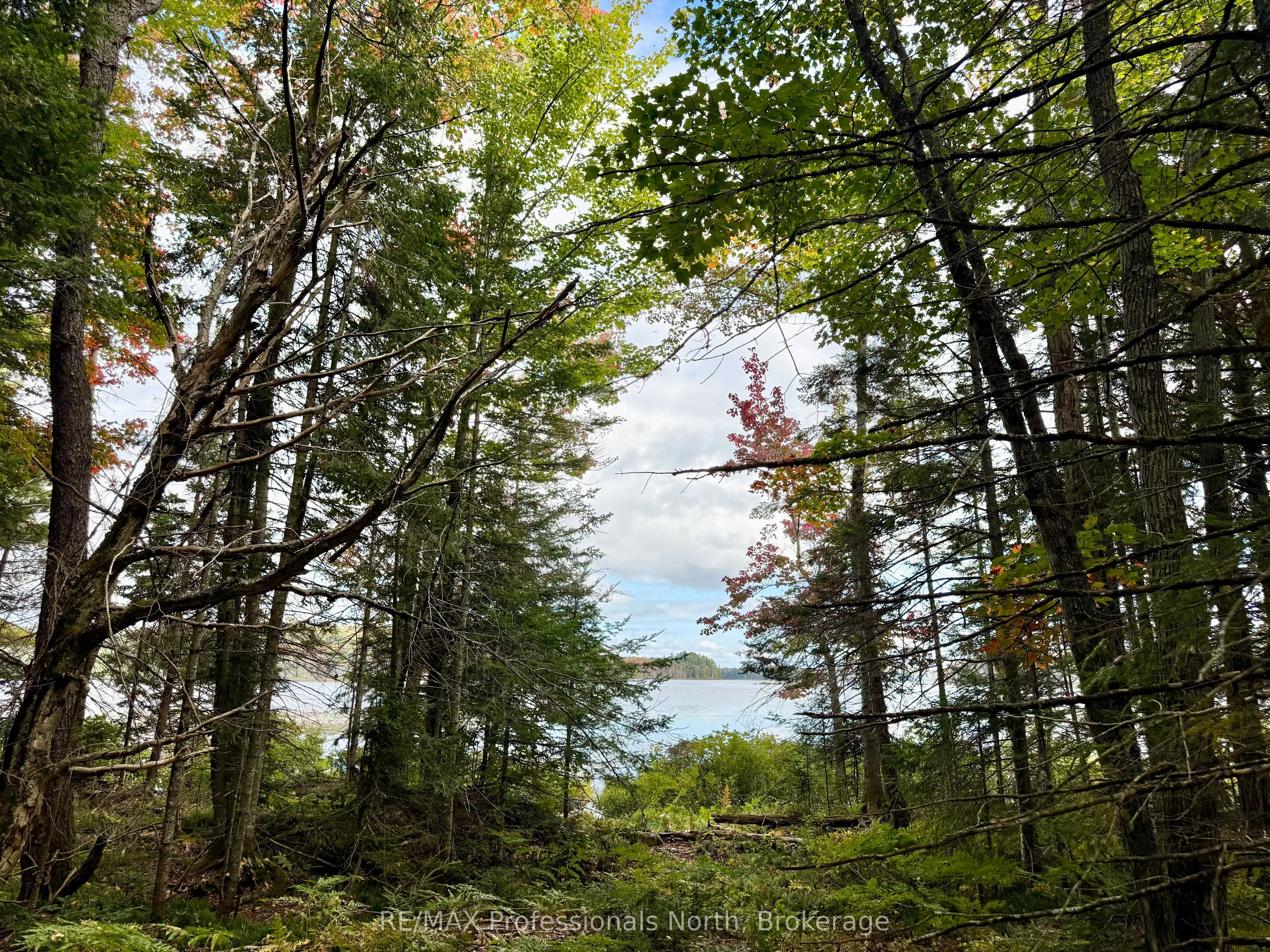 Lot 9 Axe Lake Road