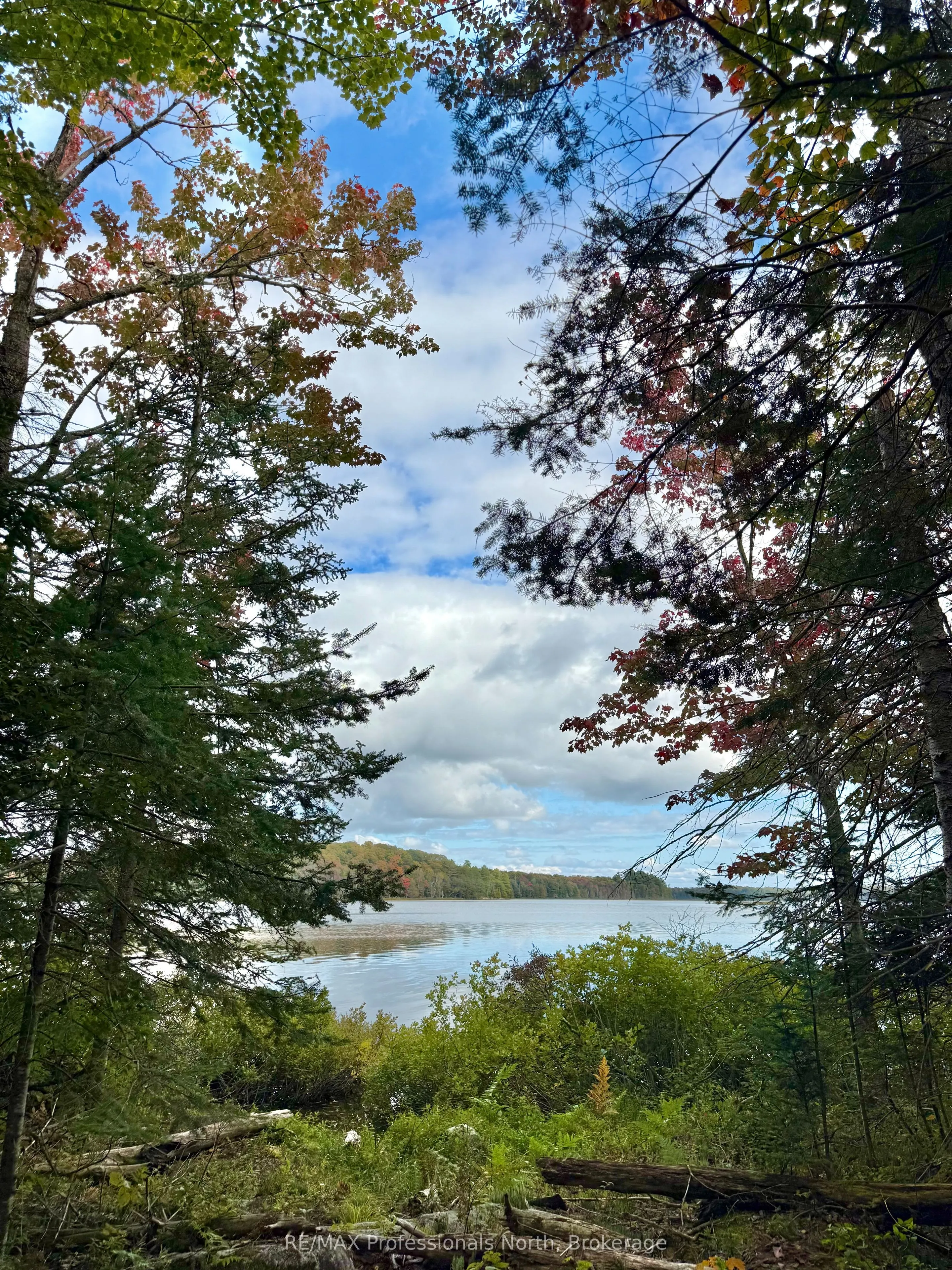 Lot 9 Axe Lake Road
