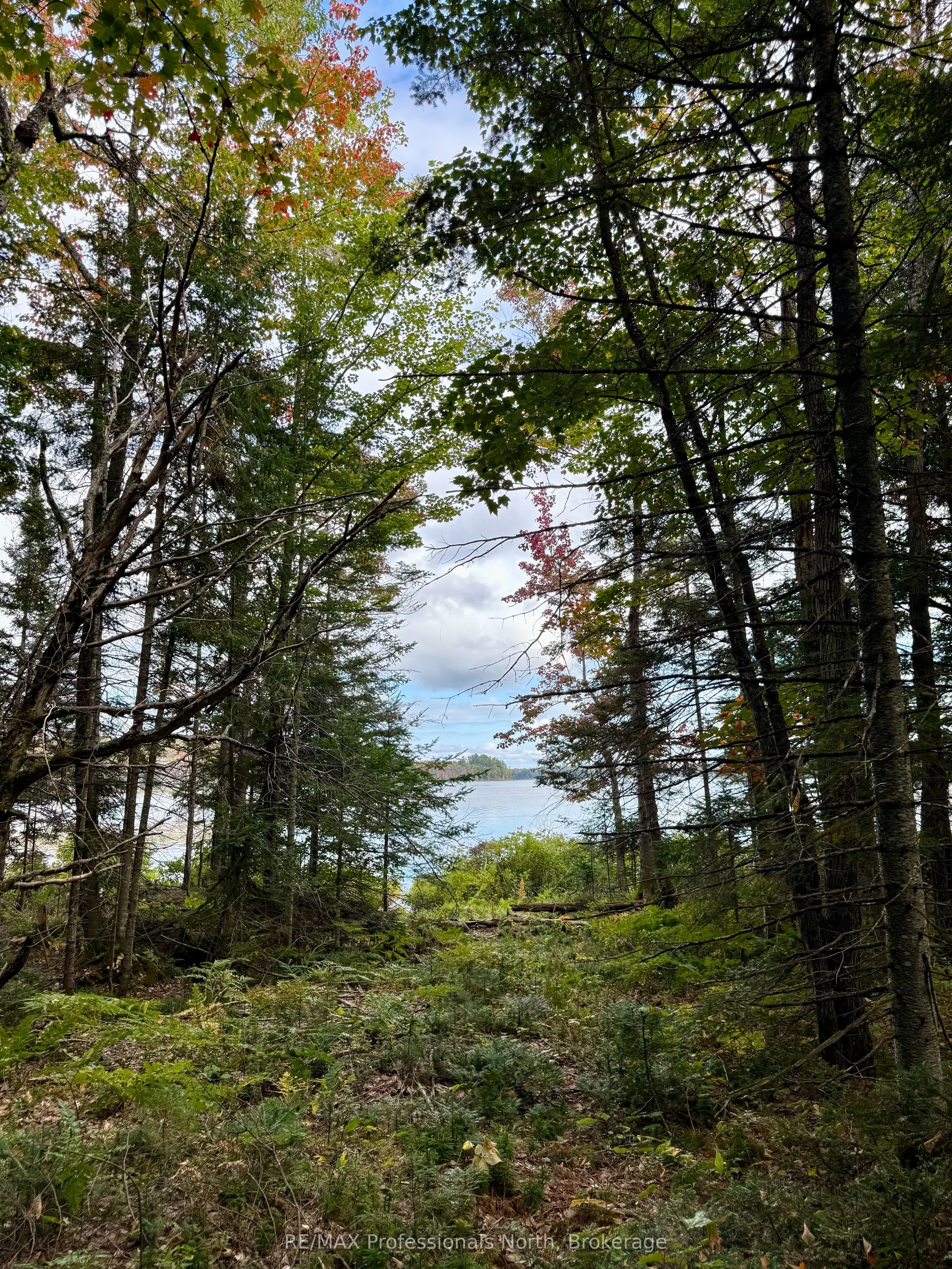 Lot 9 Axe Lake Road