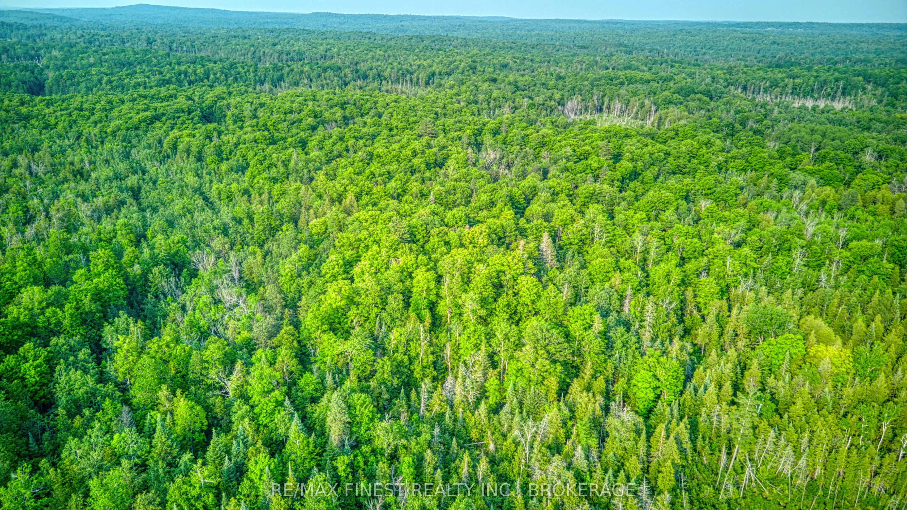 E 1/2 Lot 22 Concession 9 Palmerston