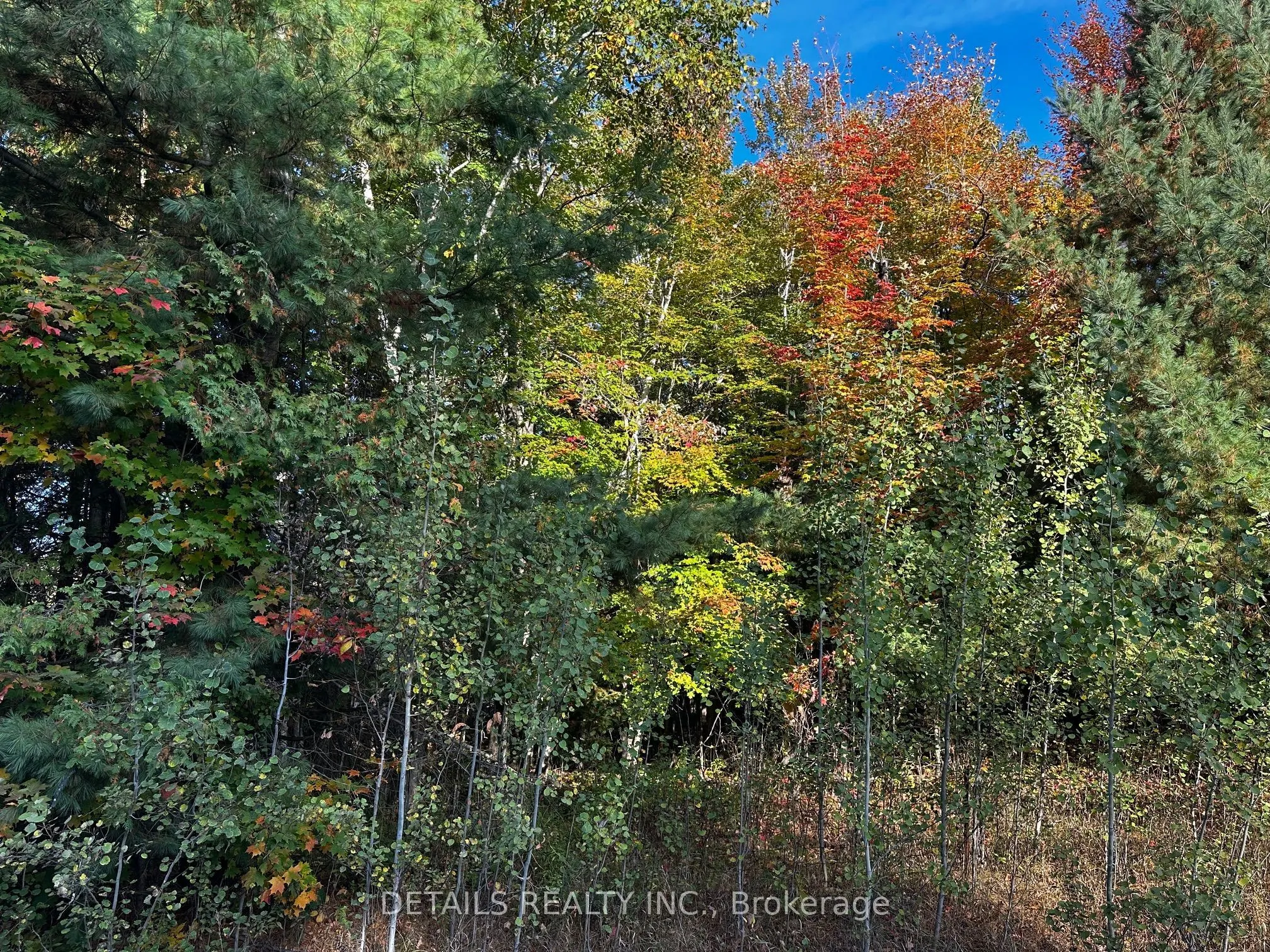 515 Vances side Road N