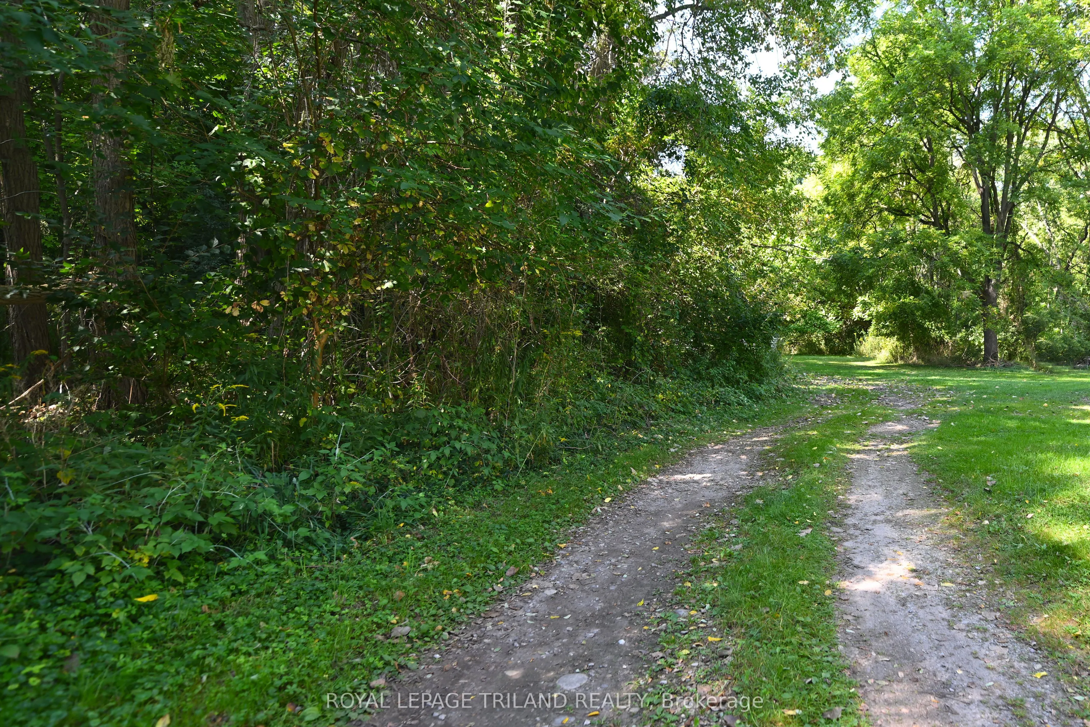 65 Cove Road