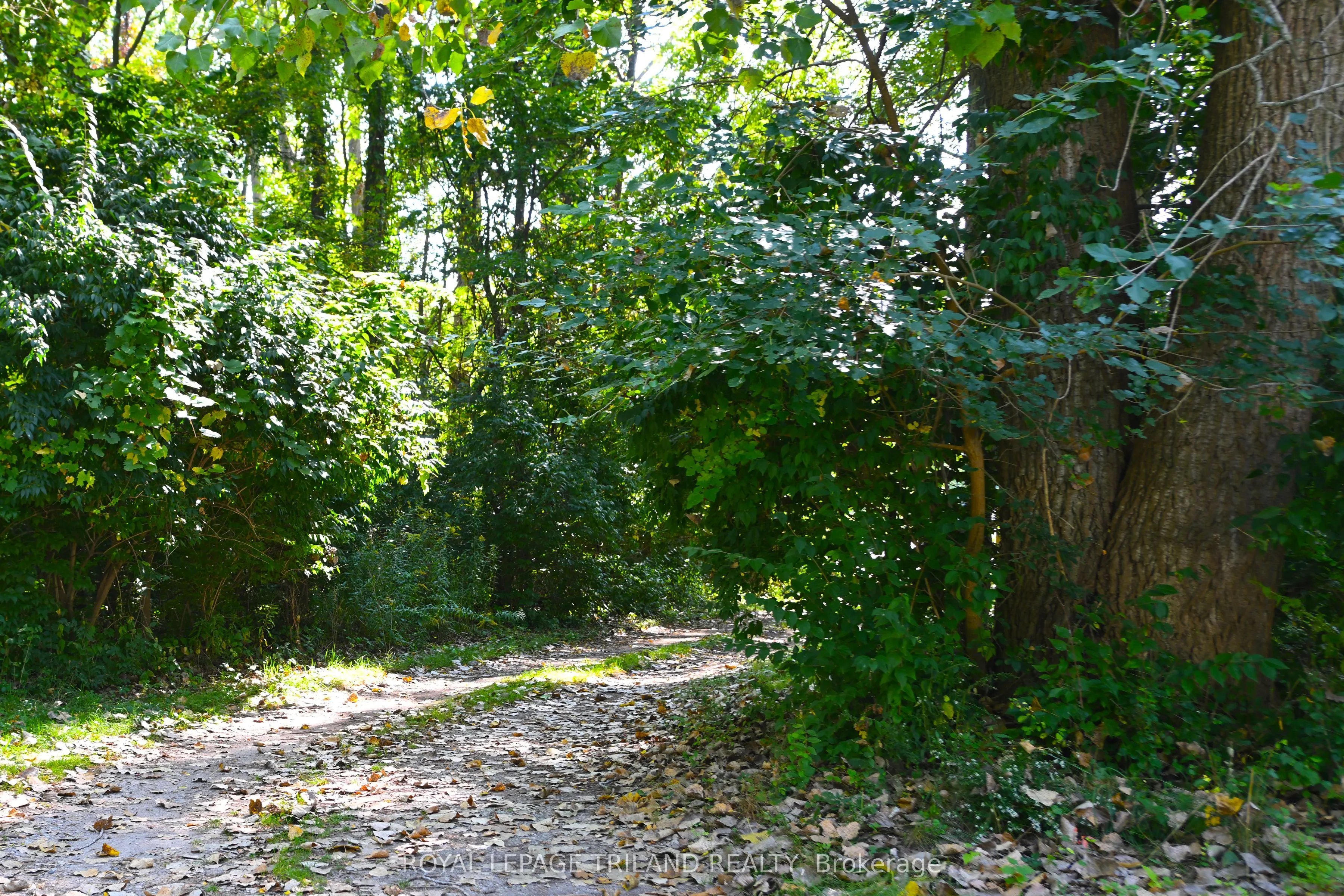 65 Cove Road