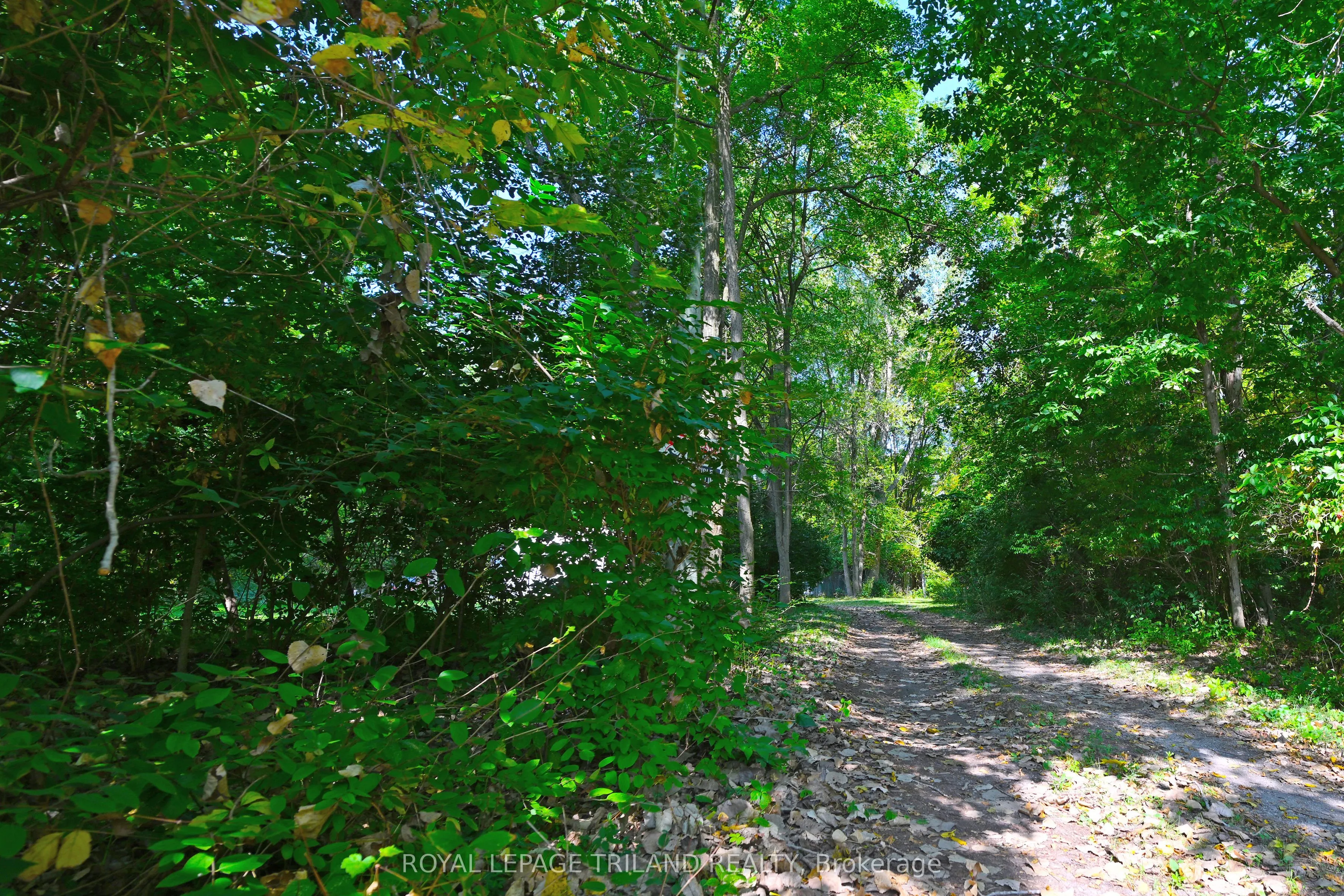 65 Cove Road