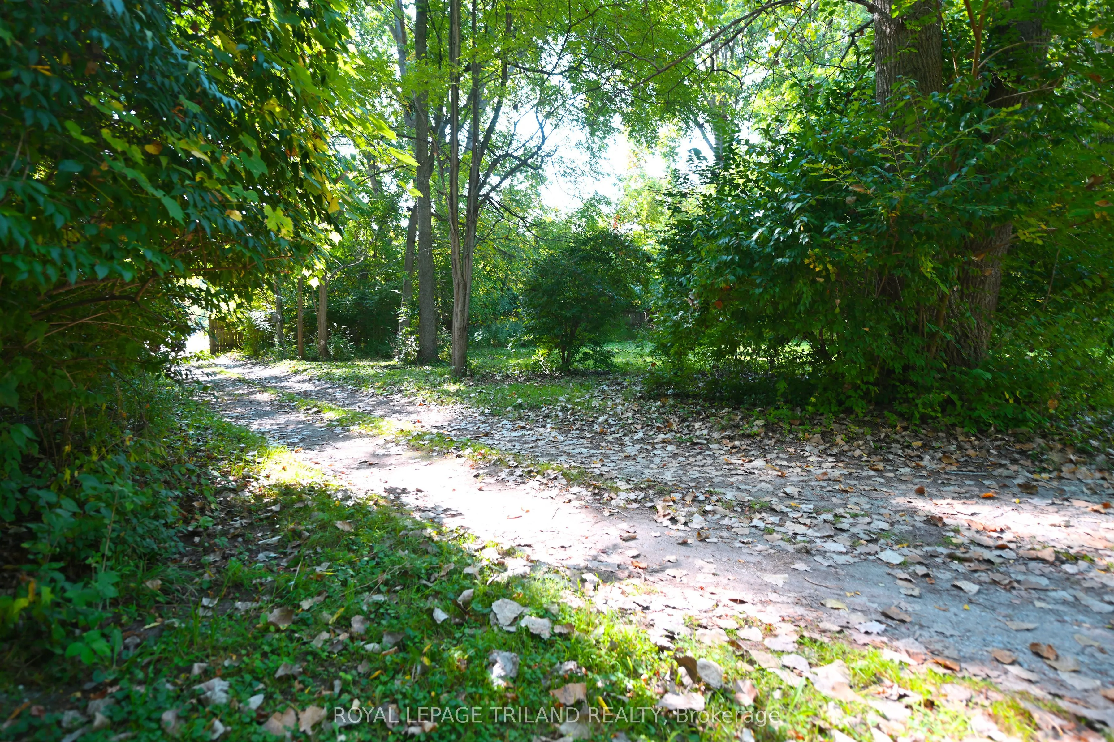 65 Cove Road