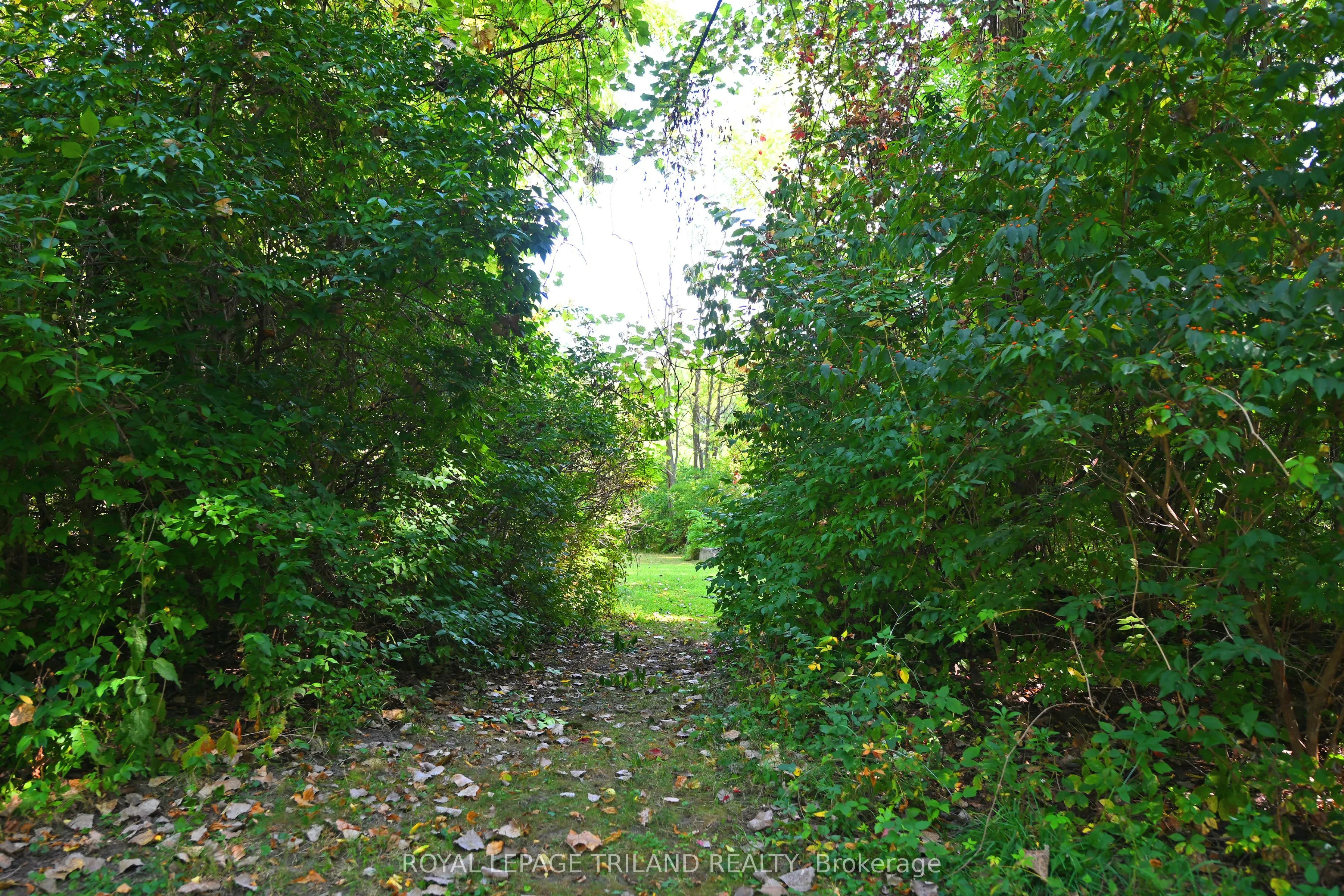 65 Cove Road