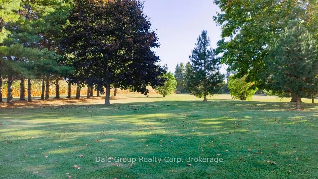 35272 Cut Line Road