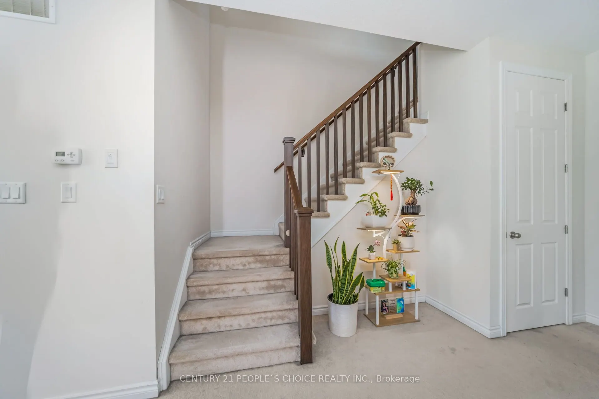 131 Steeplechase Way
