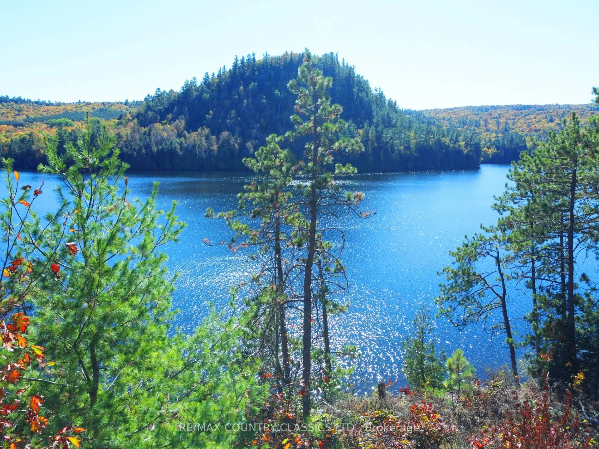 738 Dam Lake Road