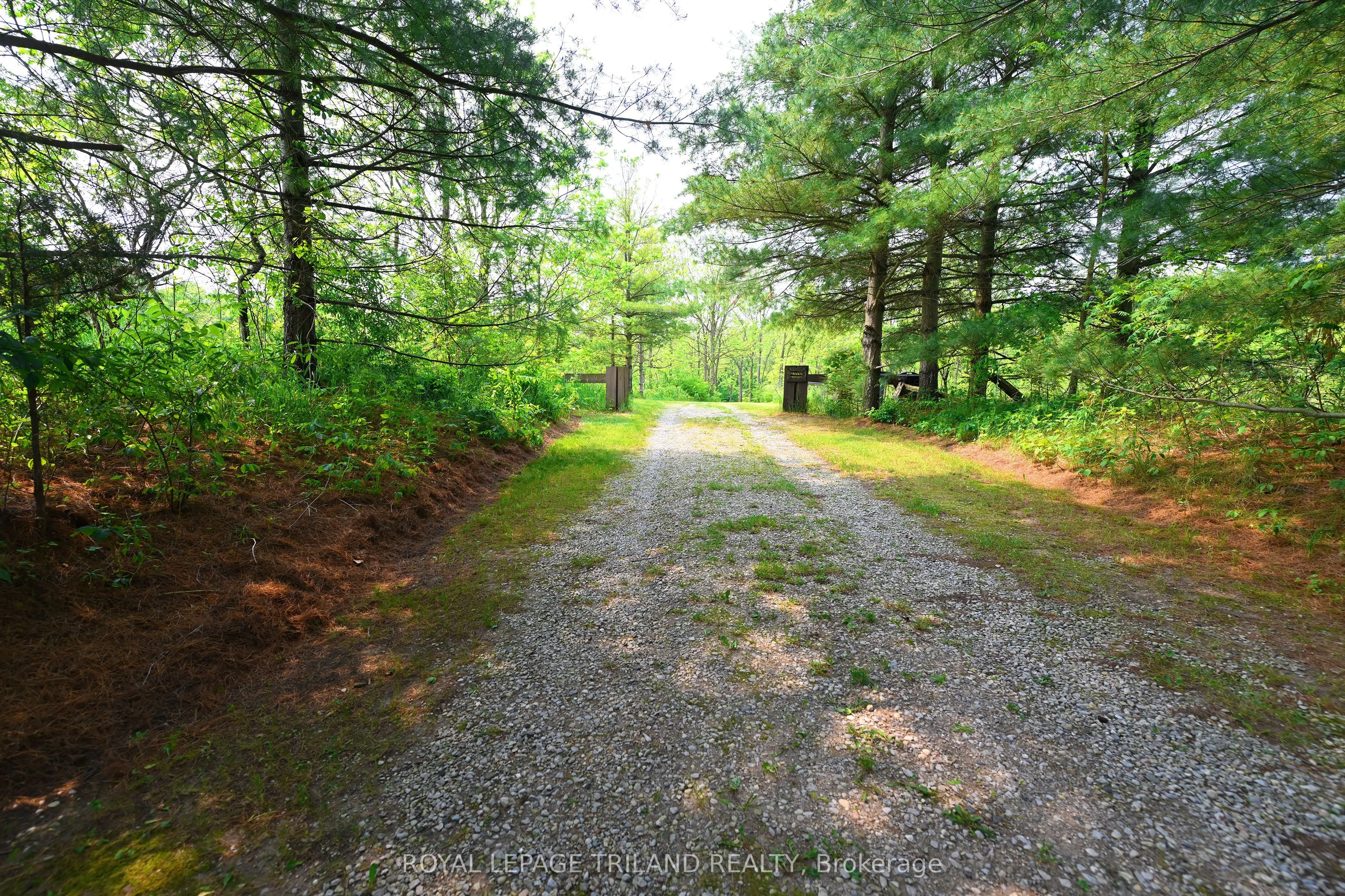 253 Elginfield Road