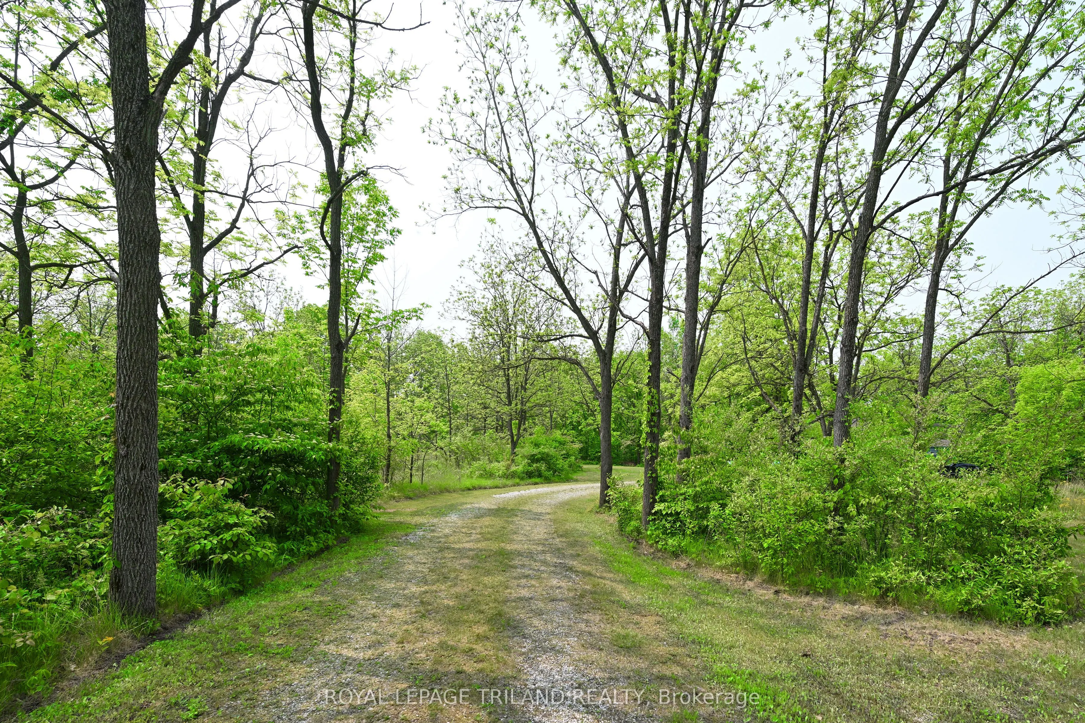 253 Elginfield Road